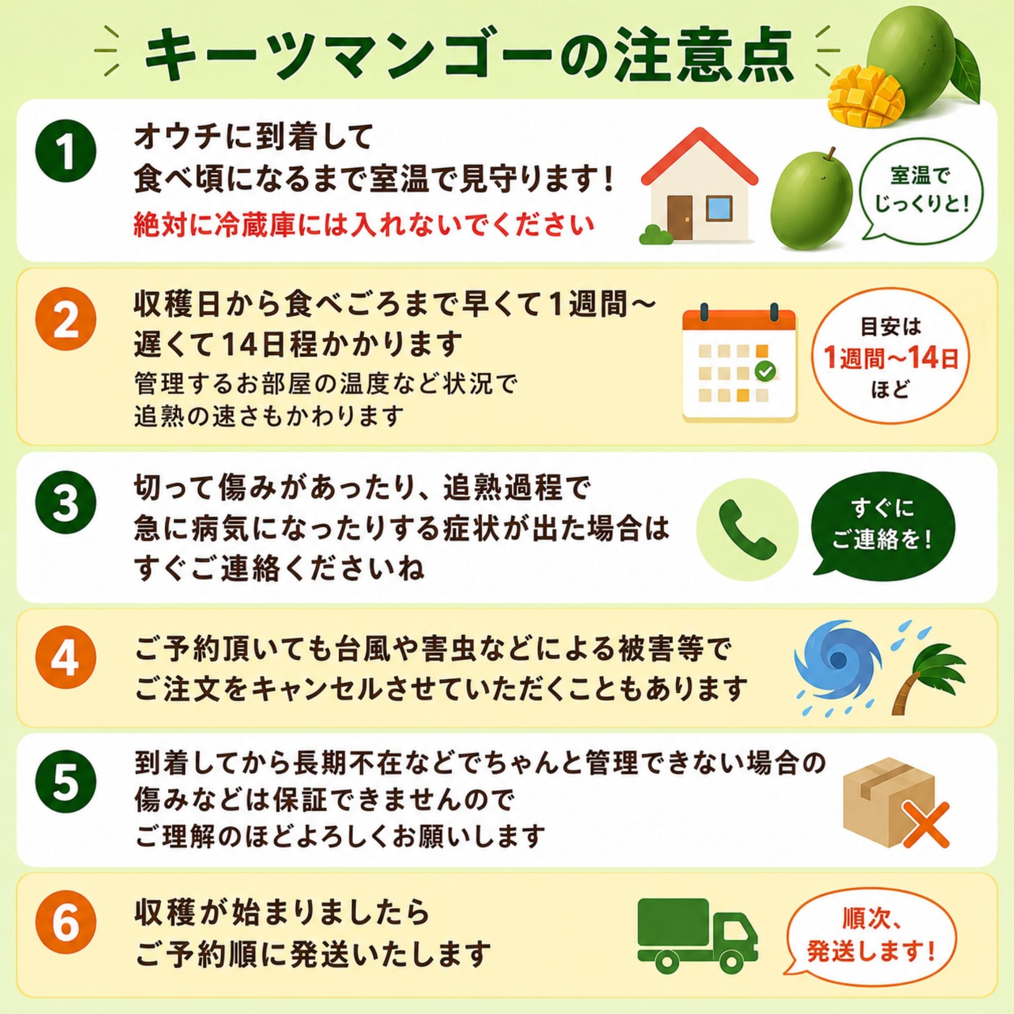 頑張りキーツ！4㎏(4〜6玉)/石垣島たけしの子育てキーツマンゴー