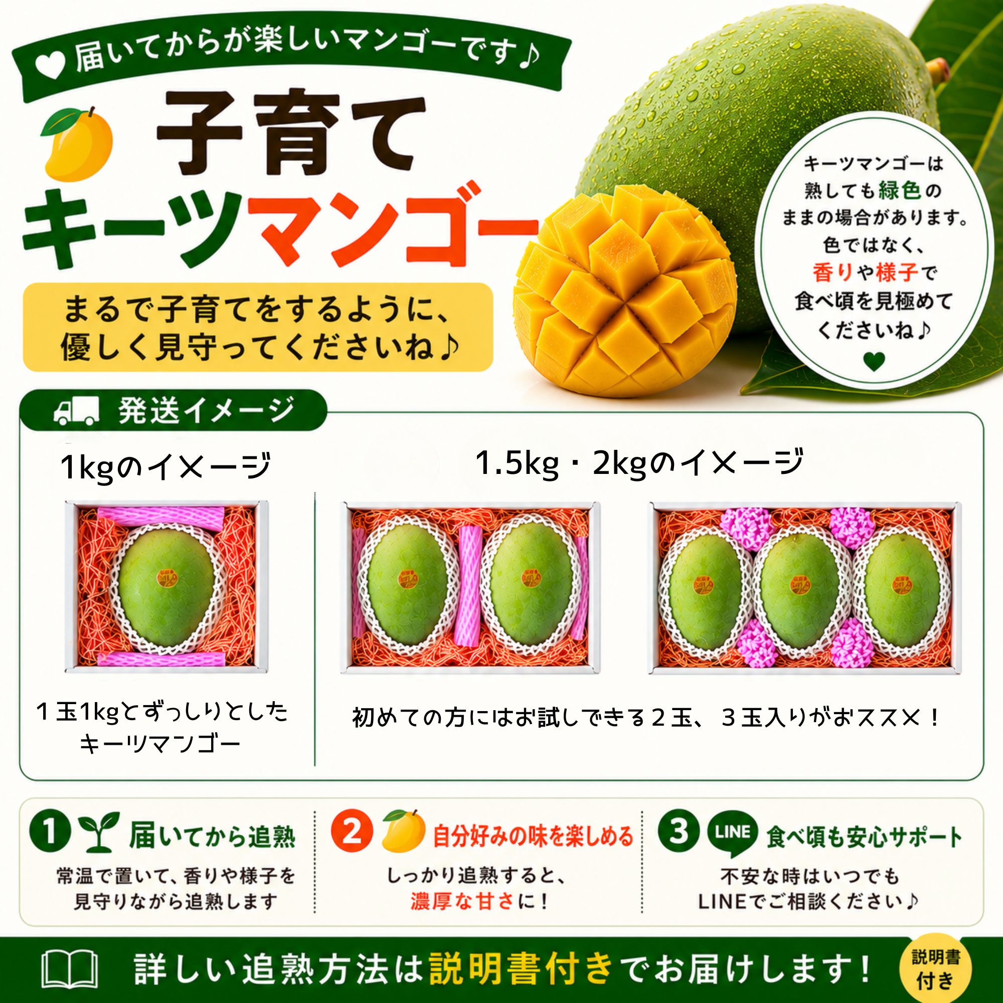 頑張りキーツ！4㎏(4〜6玉)/石垣島たけしの子育てキーツマンゴー
