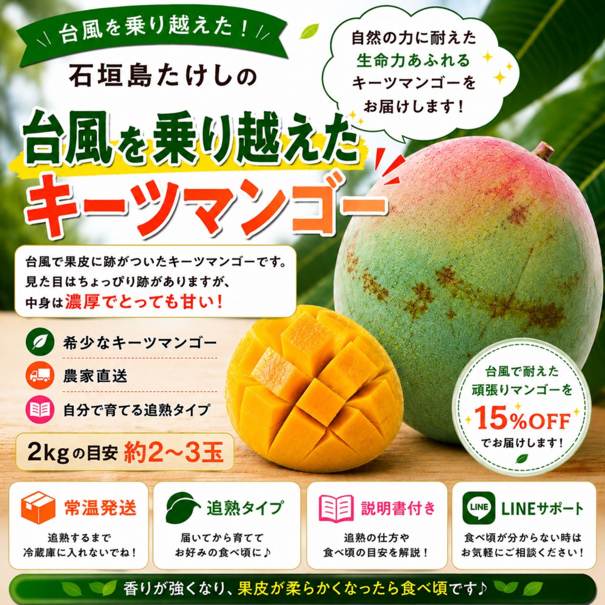 頑張りキーツ！2㎏(約2〜3玉)/石垣島たけしの子育てキーツマンゴー／※支払い方法は商品概要をよくご覧ください