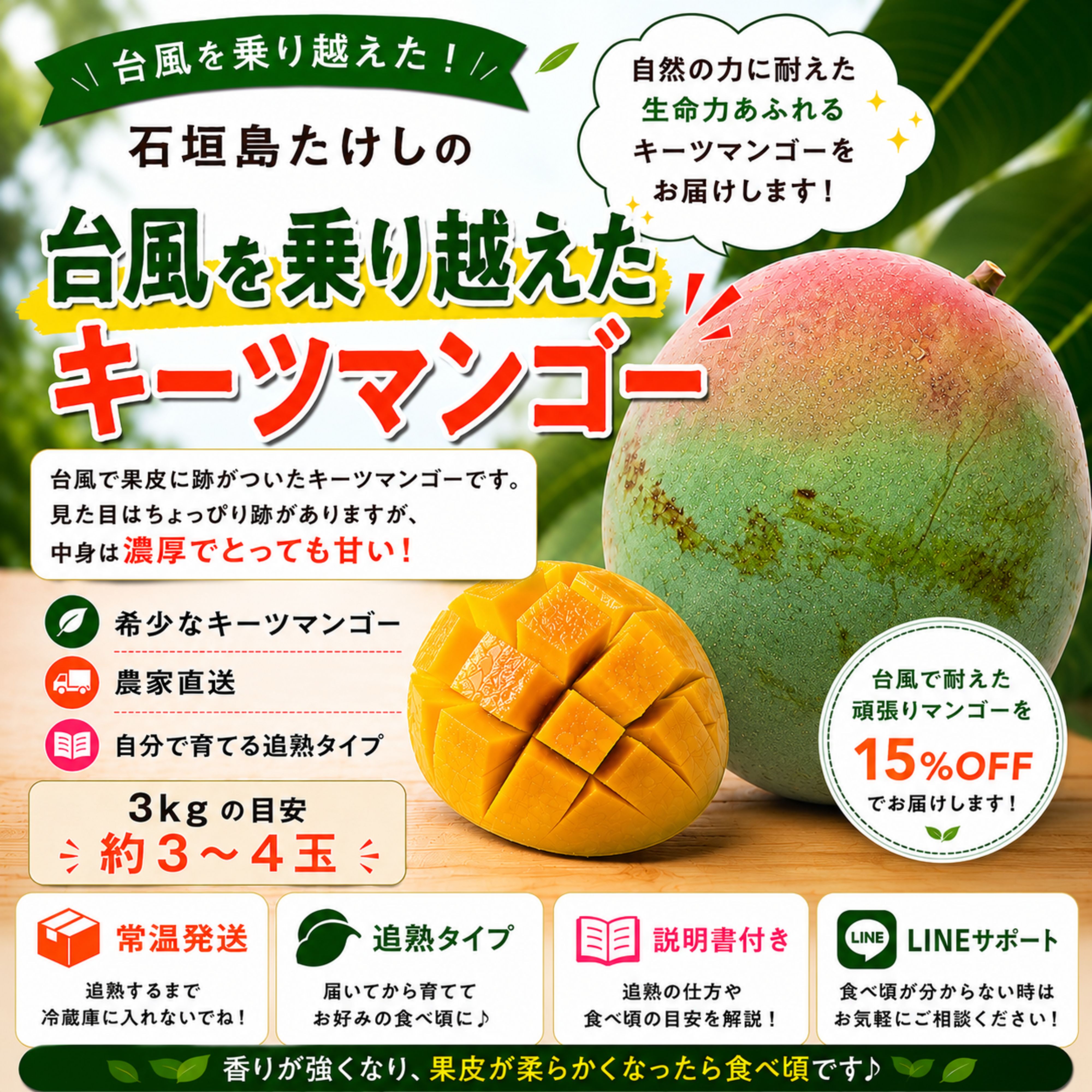 キーツマンゴー 4個 4kg 頑張りキーツ！4㎏(4〜6玉)/石垣島たけしの子育てキーツマンゴー