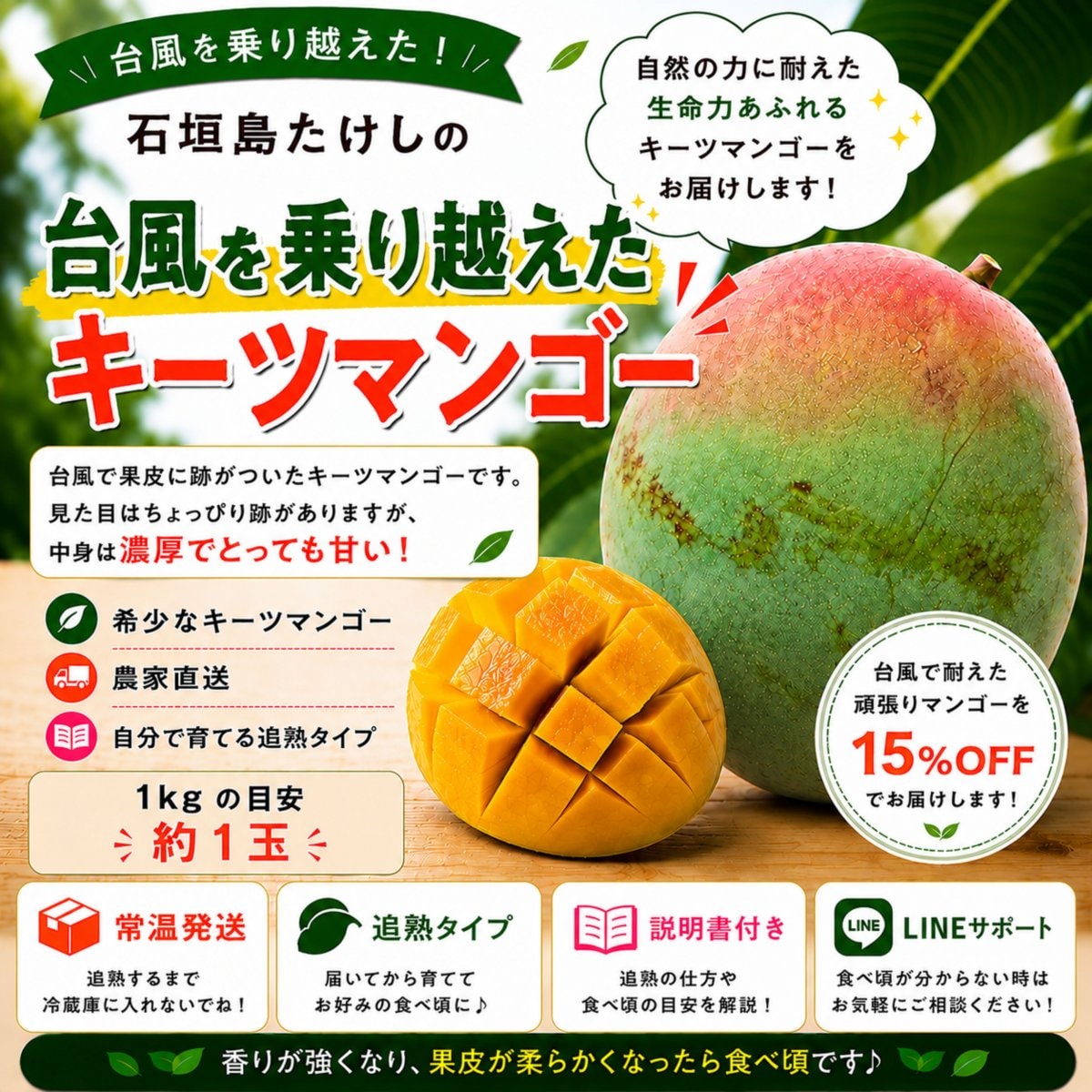 頑張りキーツ！1㎏(1玉)/石垣島たけしの子育てキーツマンゴー／※支払い方法は商品概要をよくご覧ください