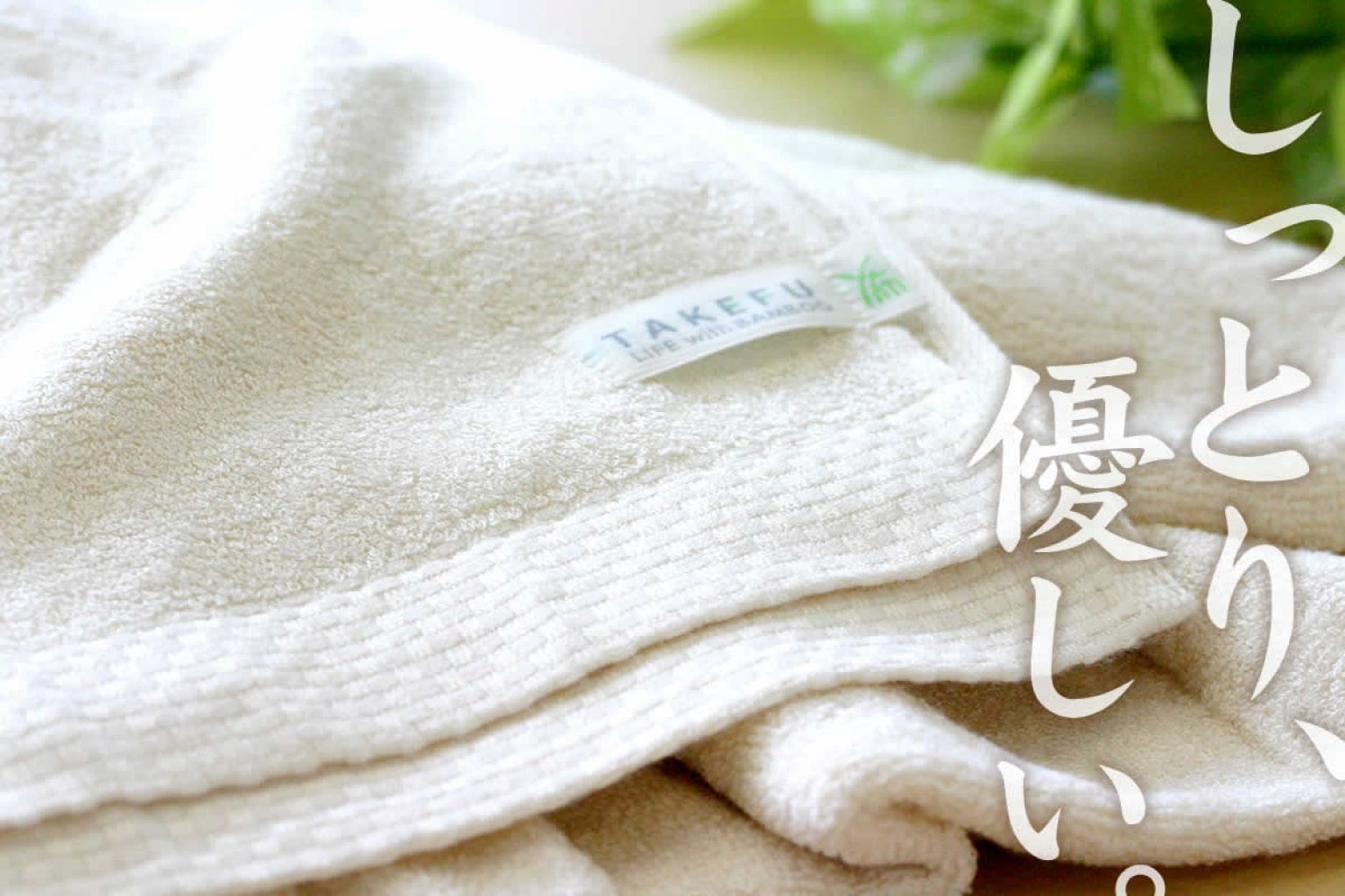 【茶話会】～TAKEFU 世界進出を記念して～竹の未来とTAKEFUの新しいステージ　2023年3月12日(日)