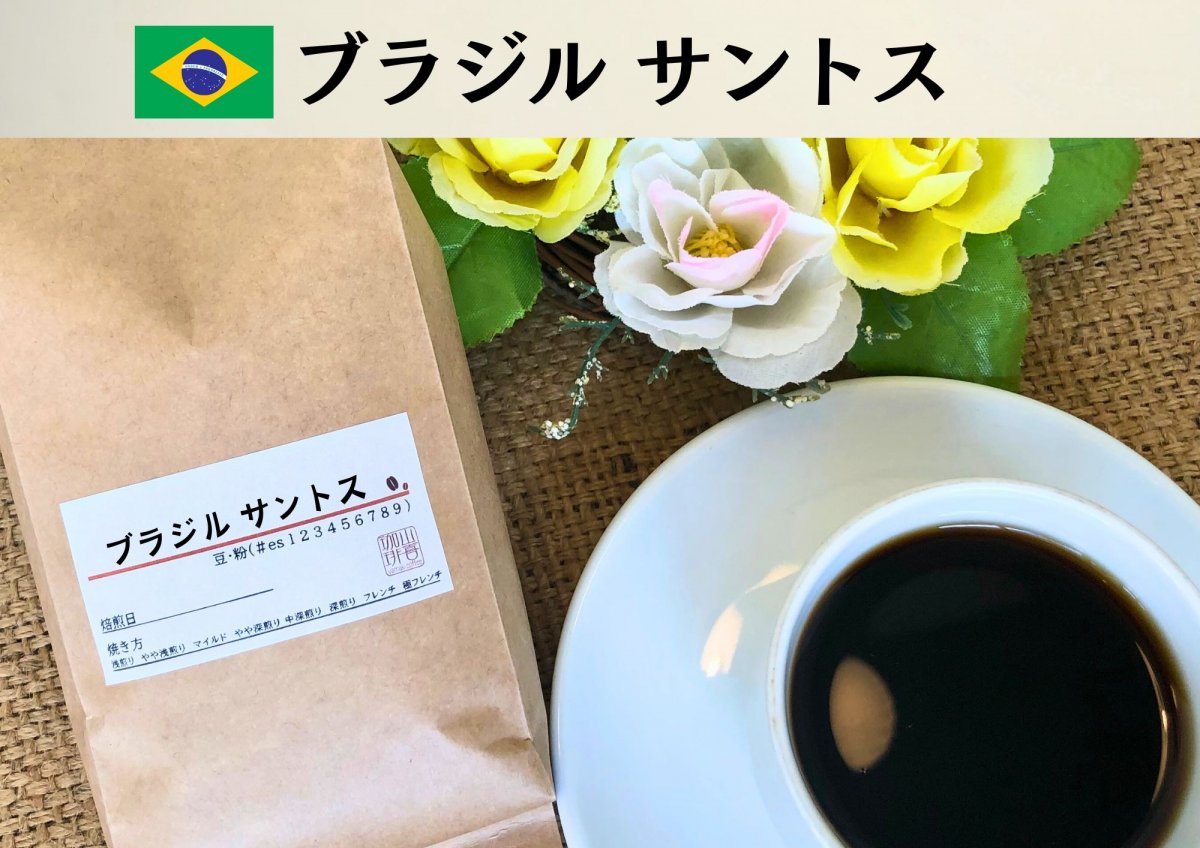 ブラジルサントスNO2