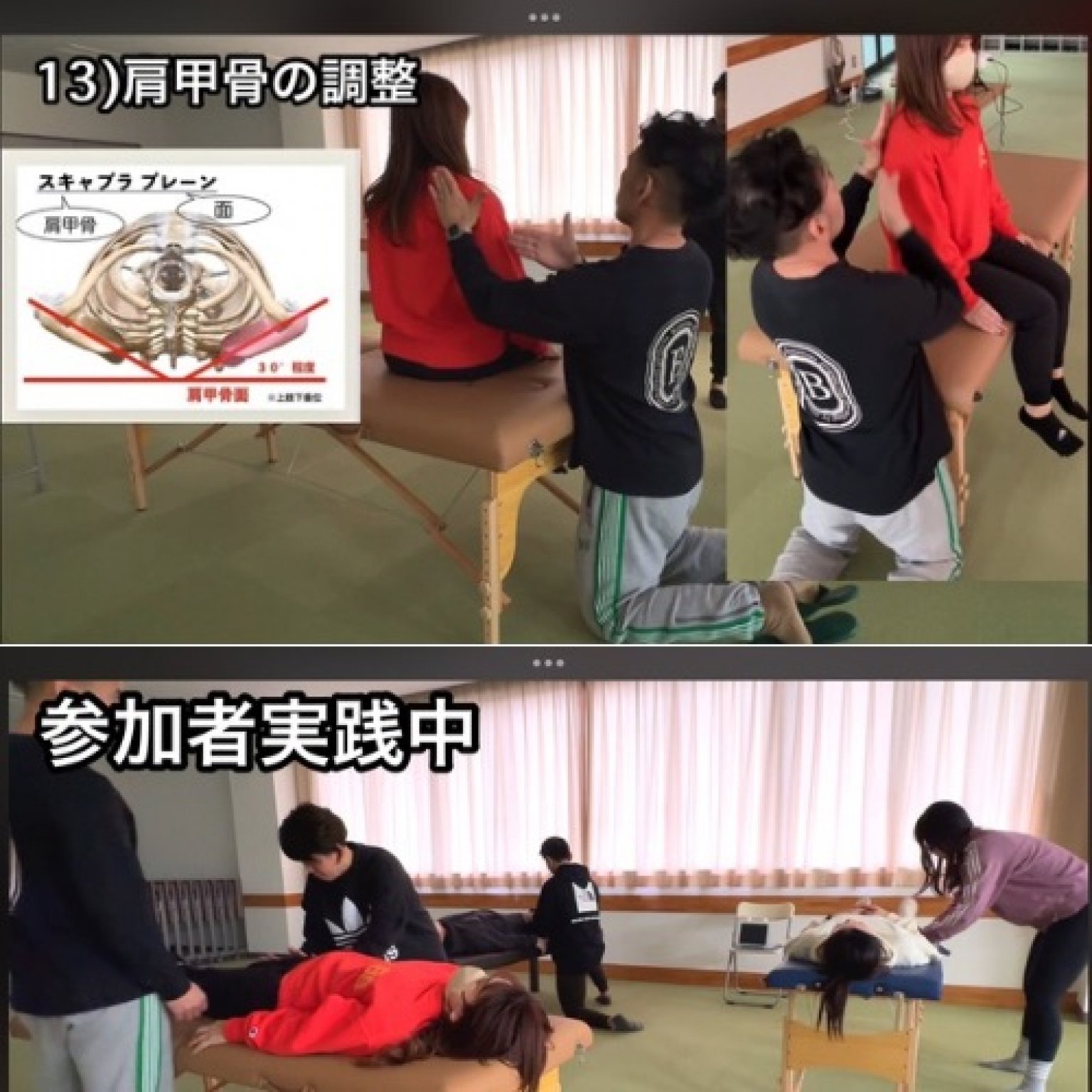 【高ポイント還元】「身体を整える手技と運動」岡山セミナー動画