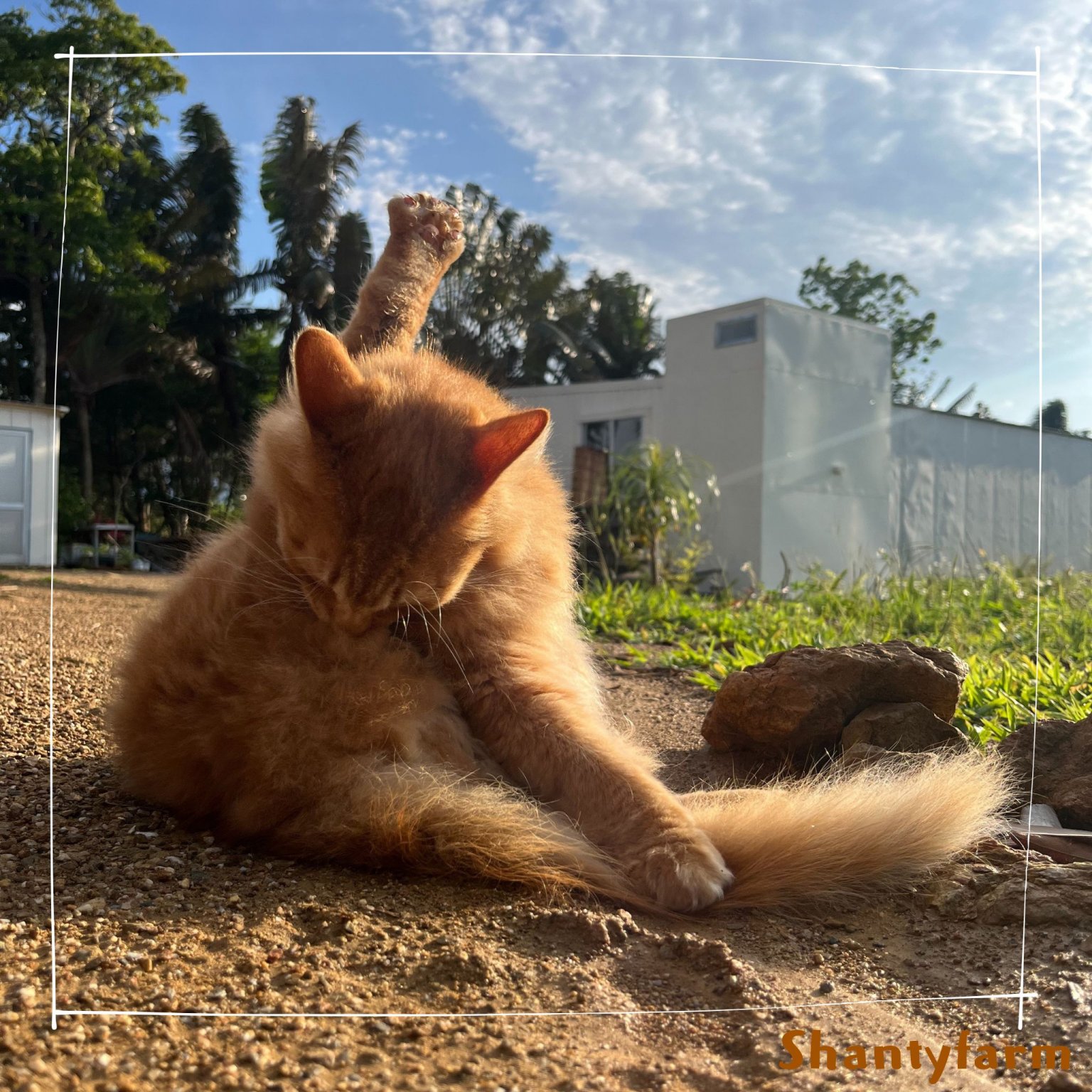 シャンティファームふれあいファミリー【1１月はじまり】