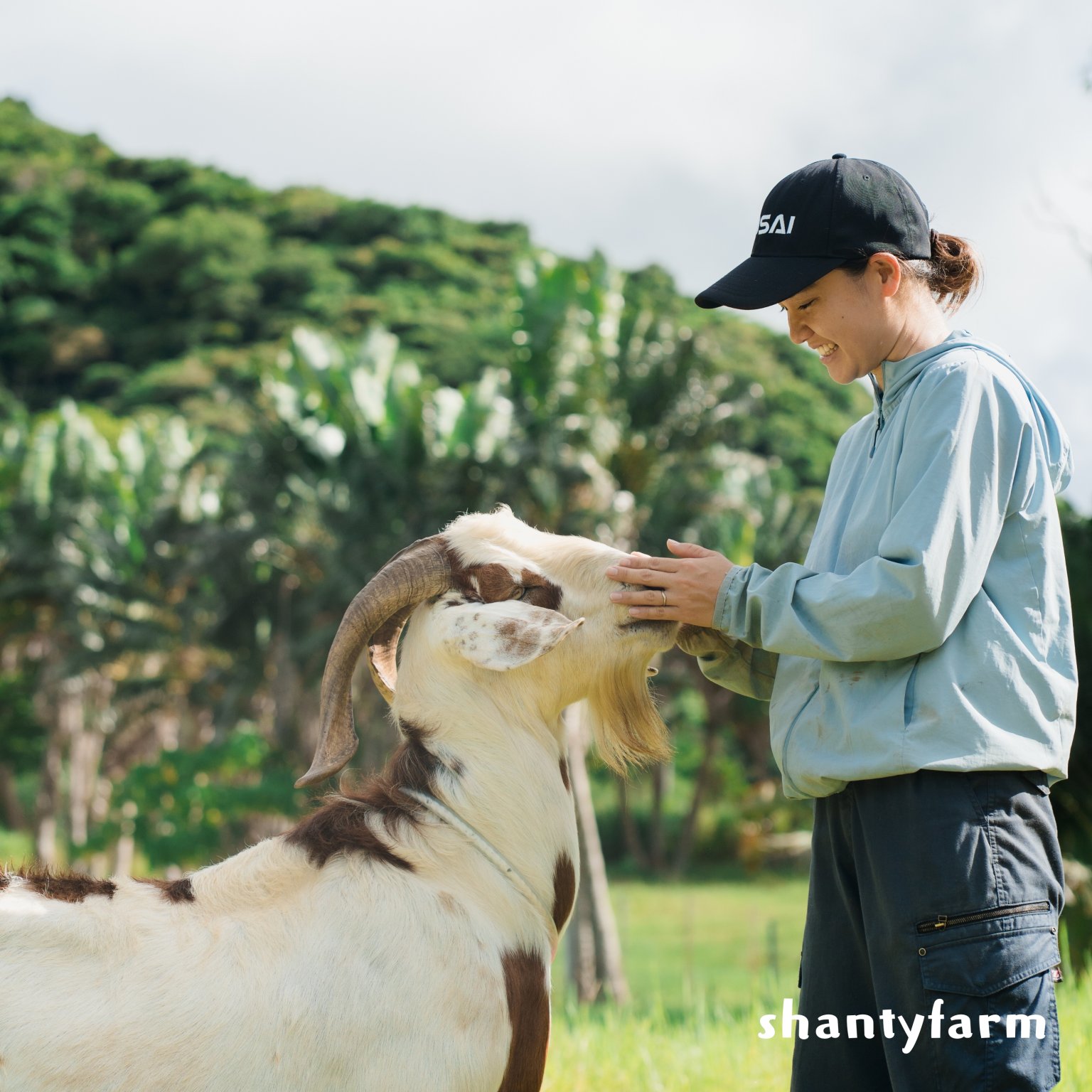 石垣島産 無農薬 島バナナ　１ｋｇ（自然栽培）│Shanty Farm🍌🌿