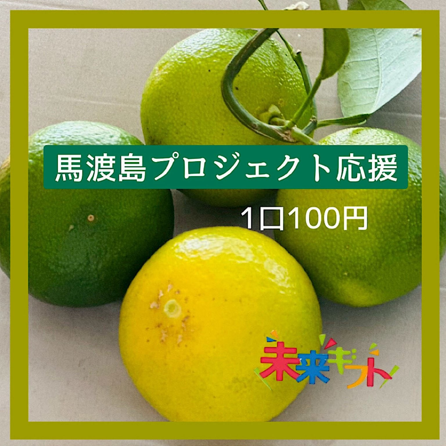 【1口¥100】馬渡島プロジェクト応援チケット