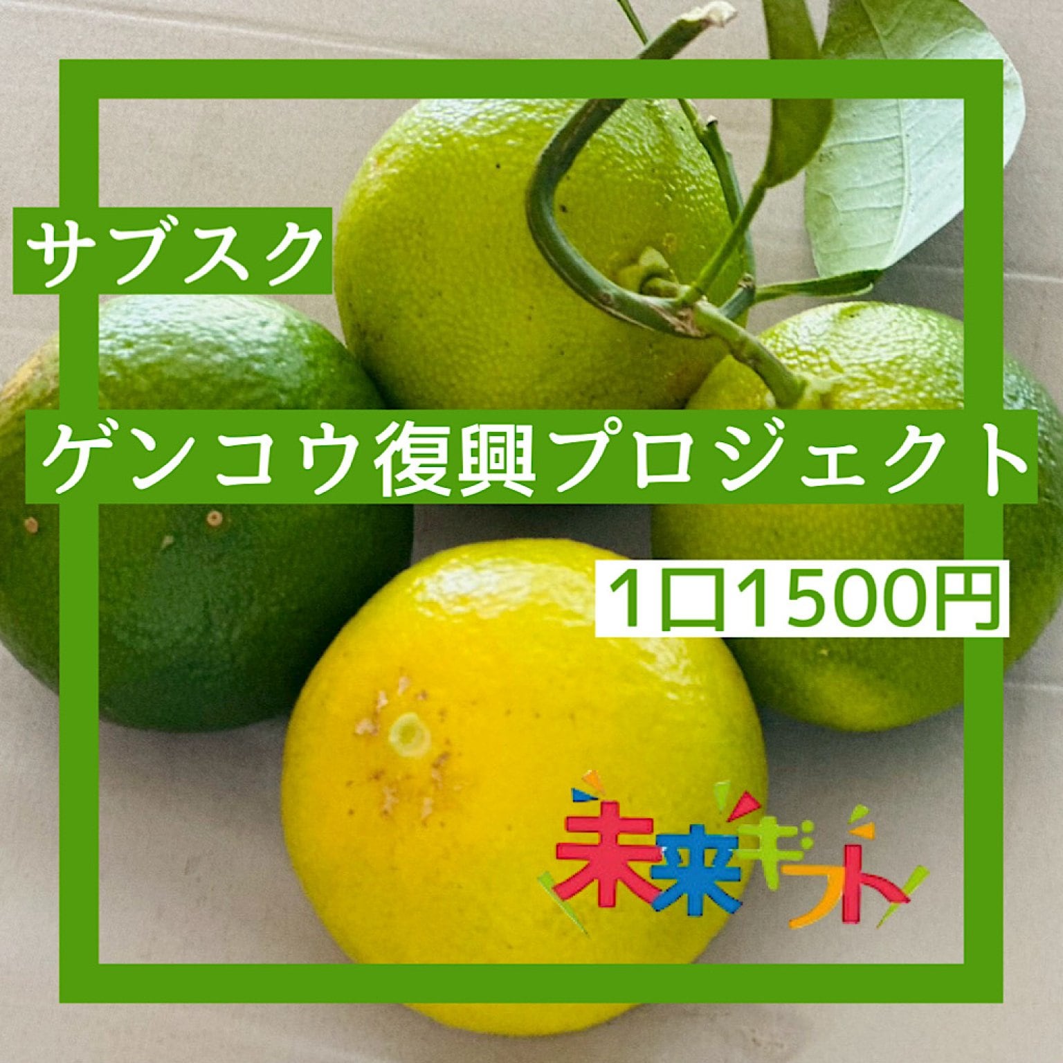 [サブスク]【1口¥1500】馬渡島プロジェクト応援チケット[返礼品付]