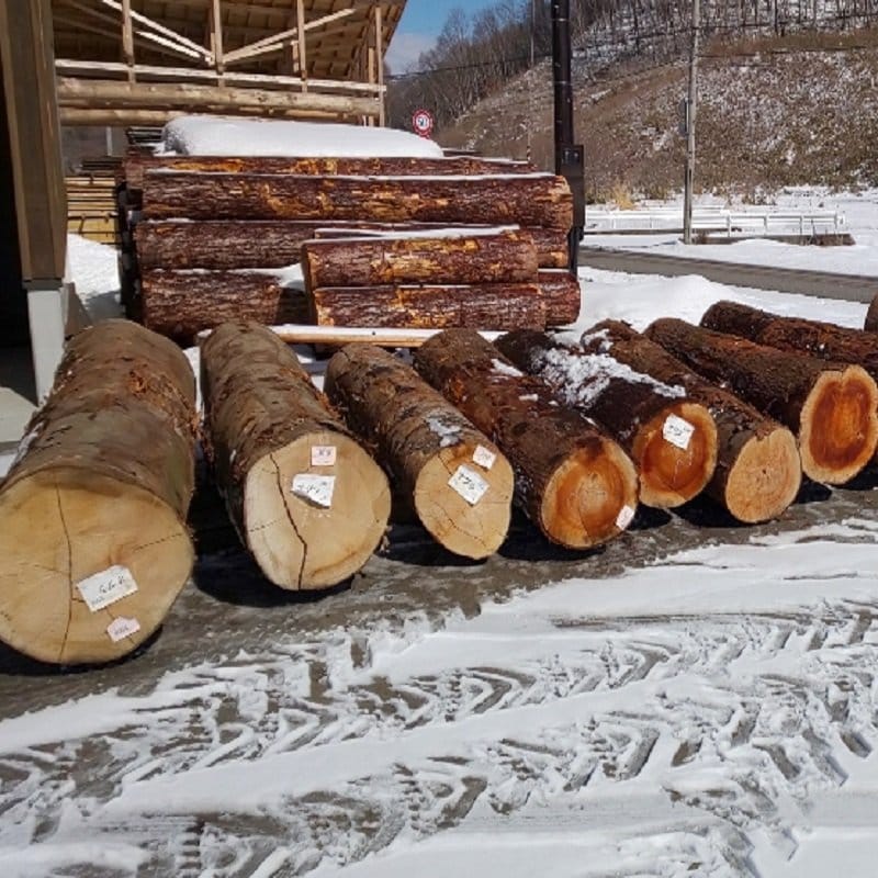 無垢材/一枚板/青ヒバ/青森ヒバ/を24/長さ1900㎜/厚さ30㎜/巾250㎜/節