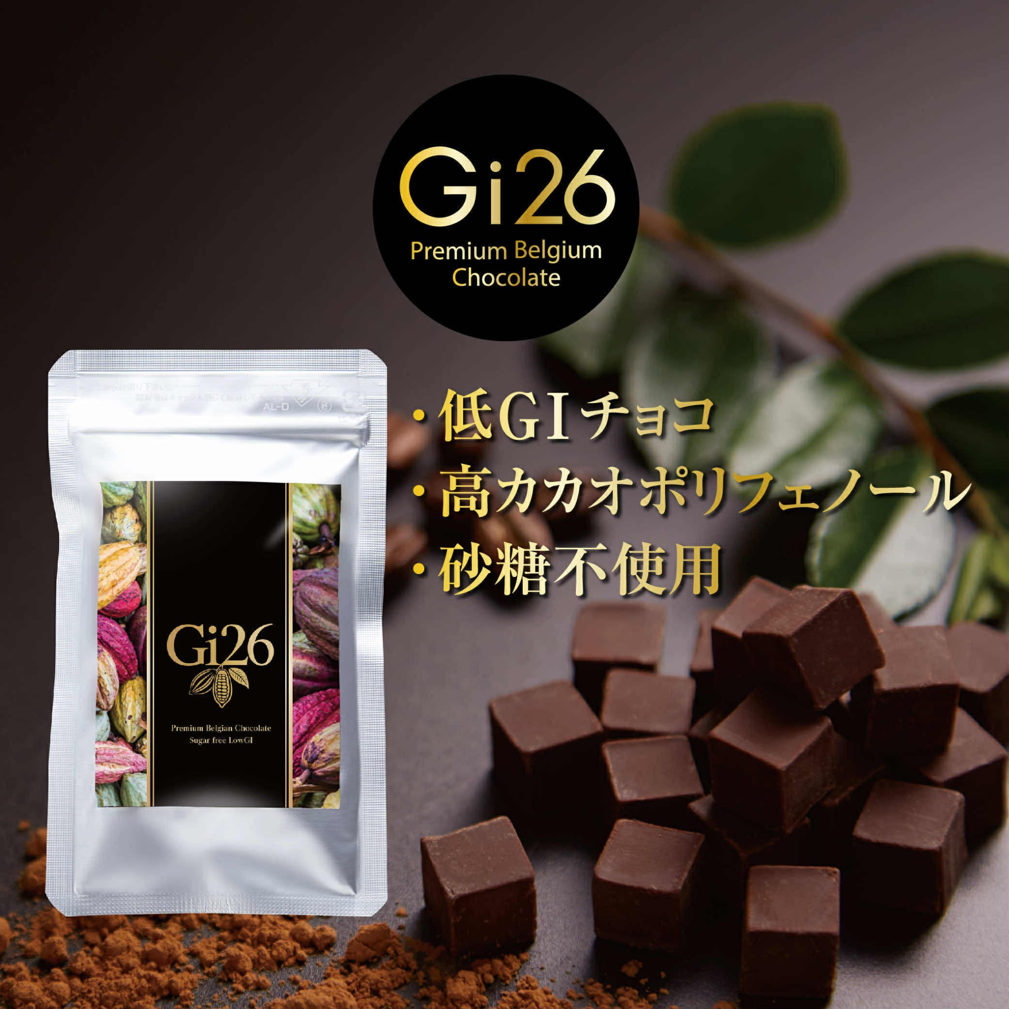 ギフトボックス】 Gi26ダークチョコレート 6袋入り