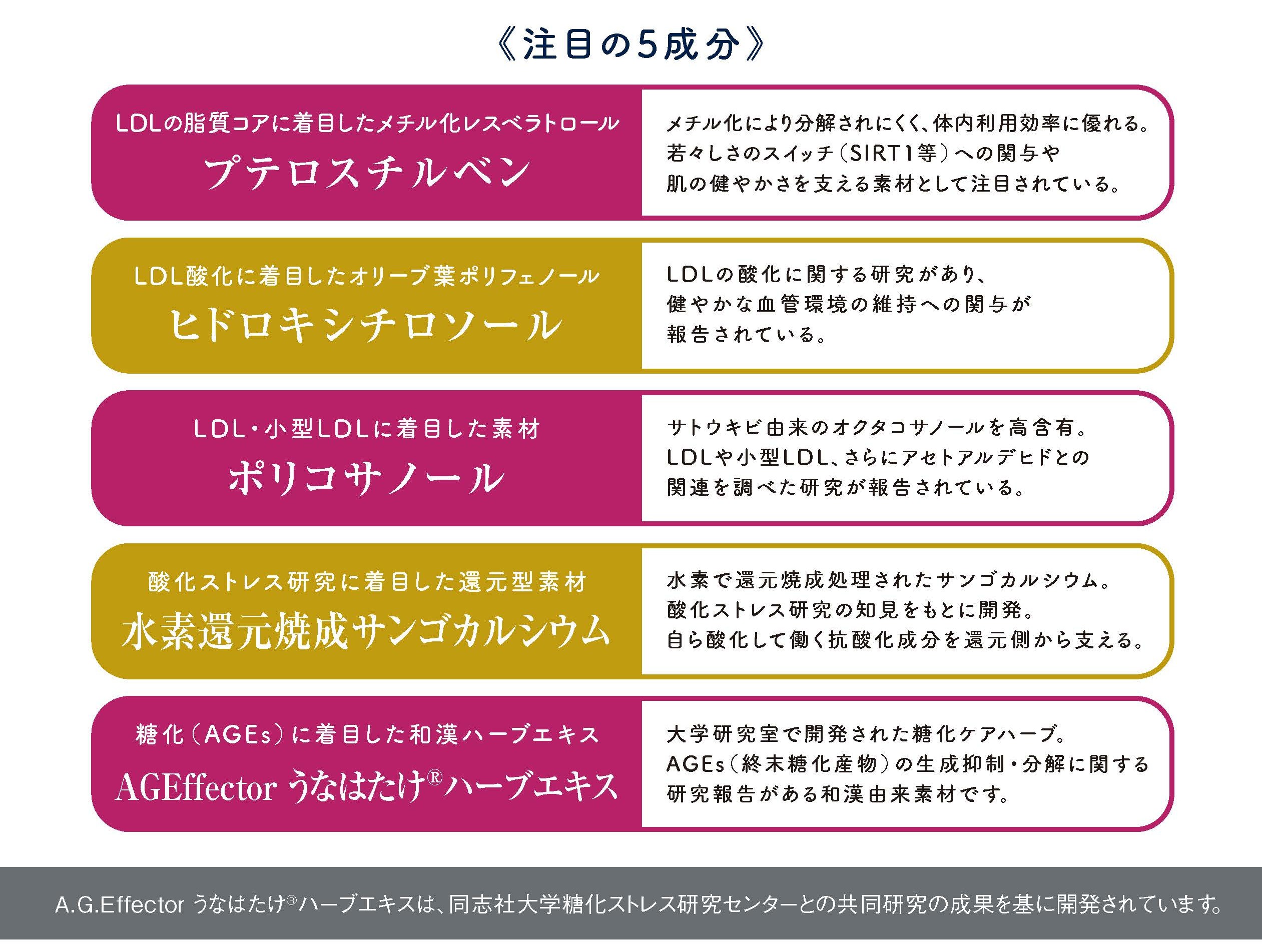 ZOOM講座受講者限定商品】【ネコポス3個まで】クラージュ エターナル 