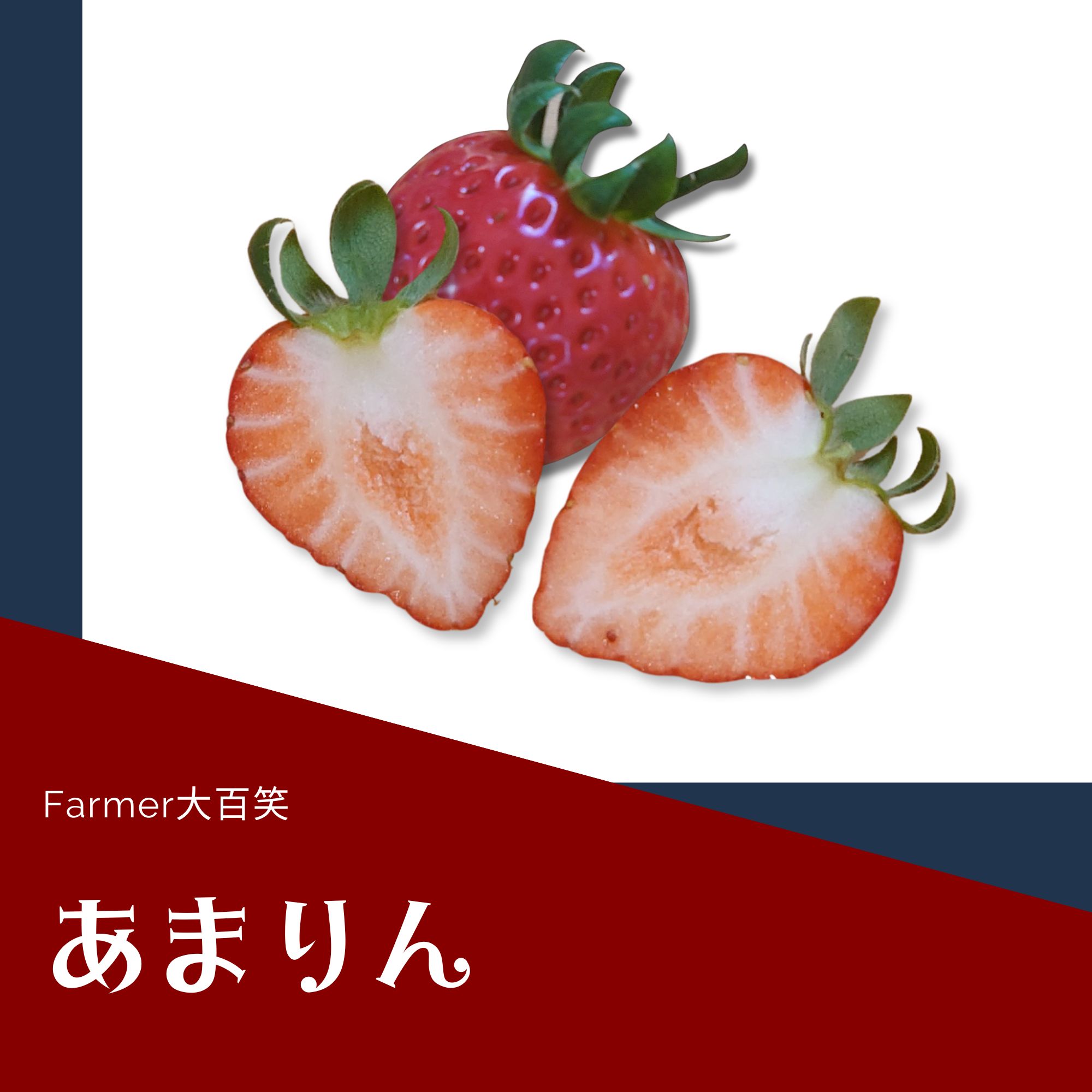 あまりん」平詰め2パック入り 全国いちご選手権で3年連続1位に輝いた