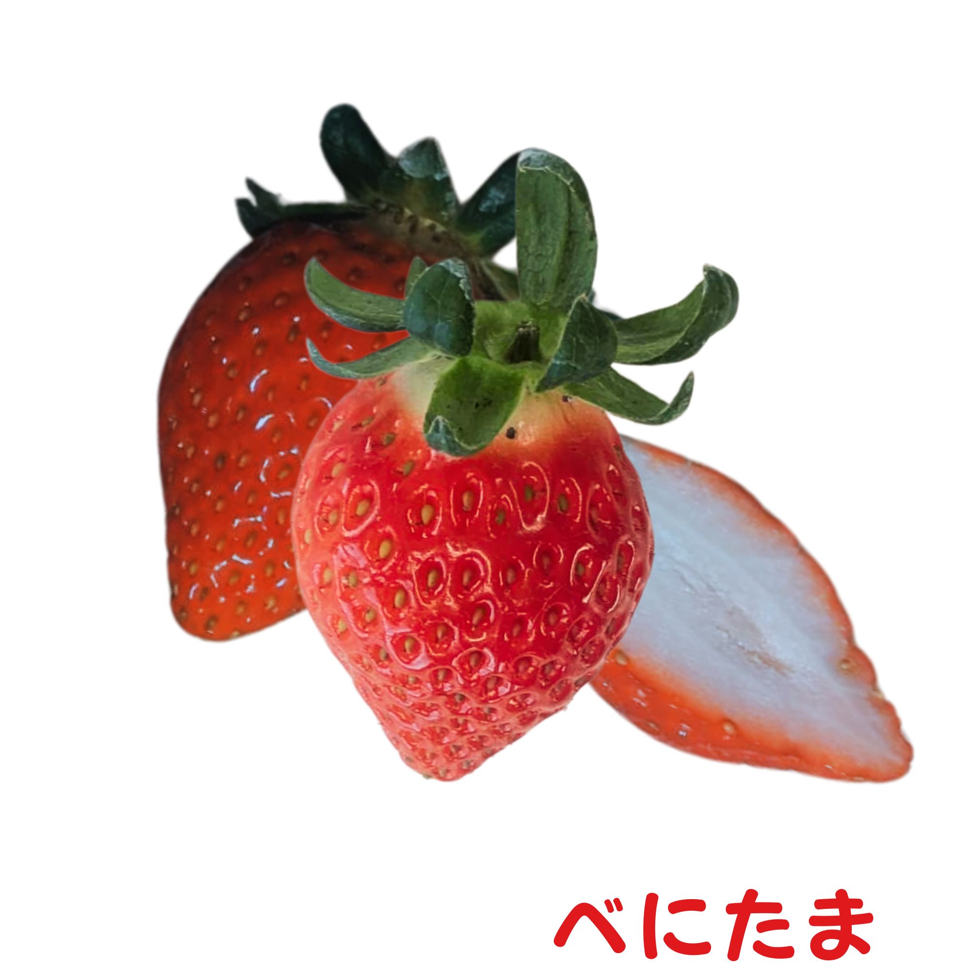 べにたま」平詰め2パック入り 「べにたま」は埼玉県オリジナルいちご