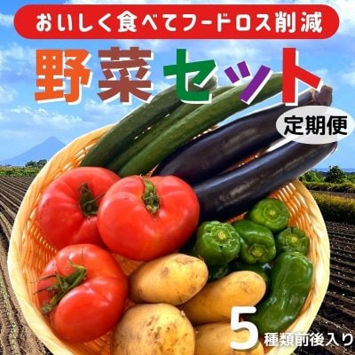 ☆おいしく食べてフードロス削減☆野菜セット 【定期便】