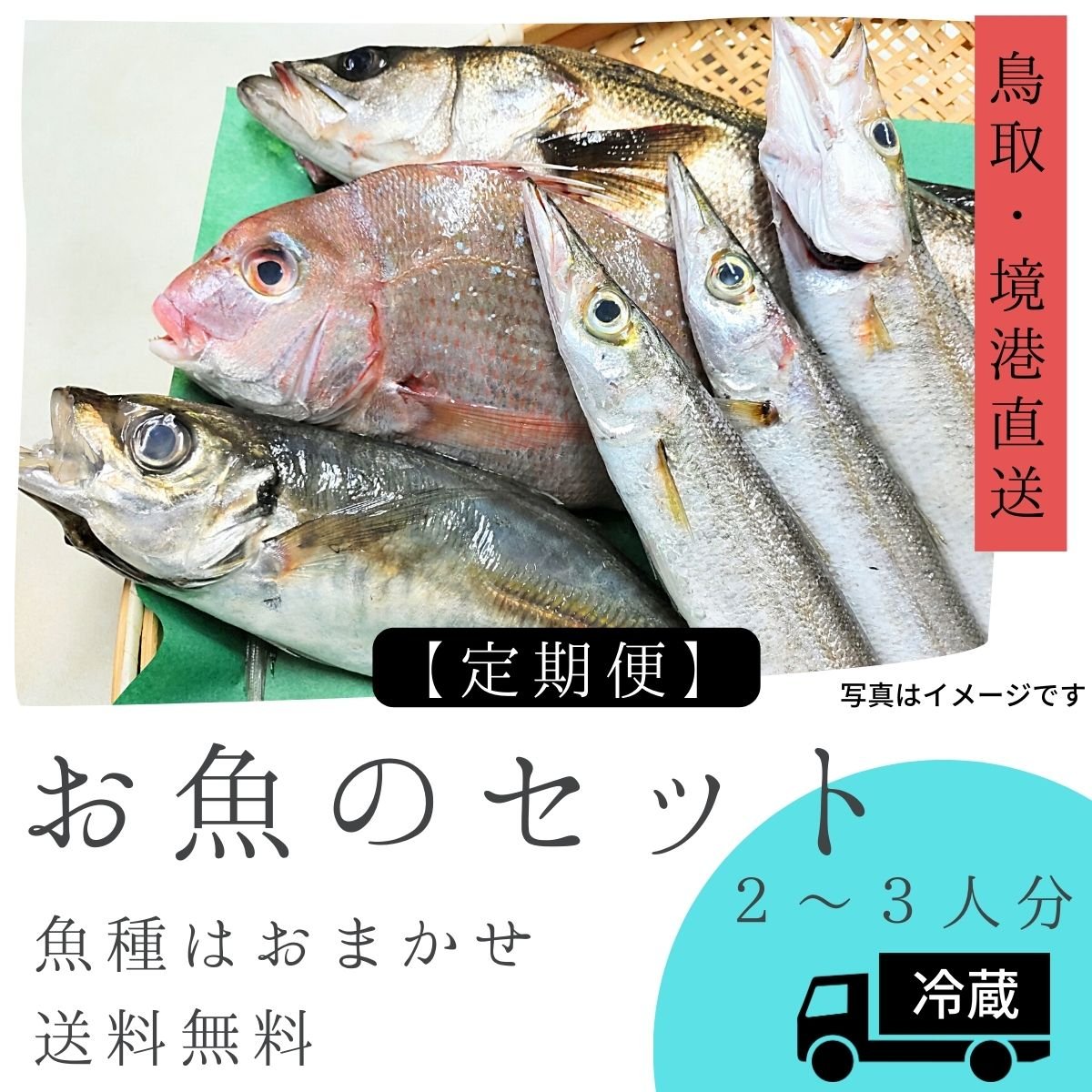 月に1回定期便【チルド】2〜3人分 お魚の詰め合わせ|魚種はおまかせ【処理済み】送料無料【この商品は、他の商品との同梱はできません】