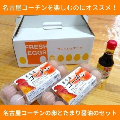 【好ポイント】名古屋コーチンの卵とTKG用たまり醤油のセット　卵20個　たまり醤油150ｍｌ1本