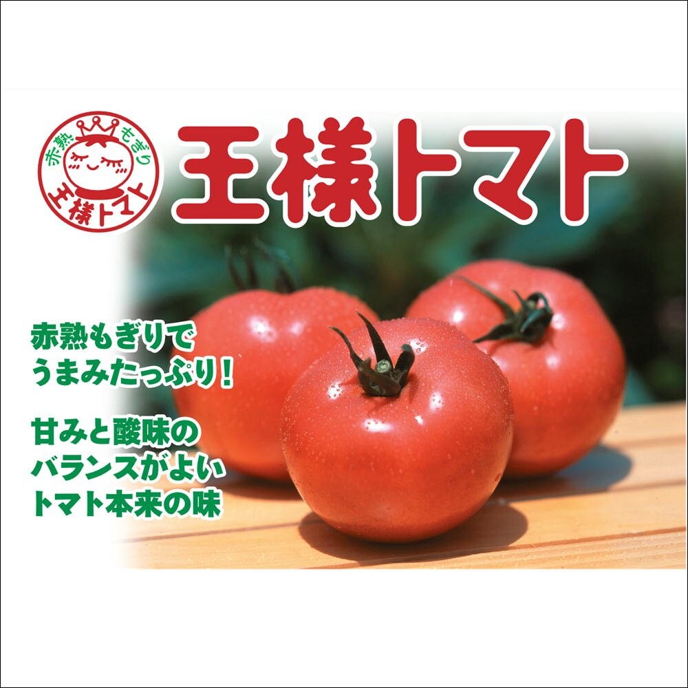 トマトジュース 王様トマト100％ ストレート（1000ml） 2本まで同じ