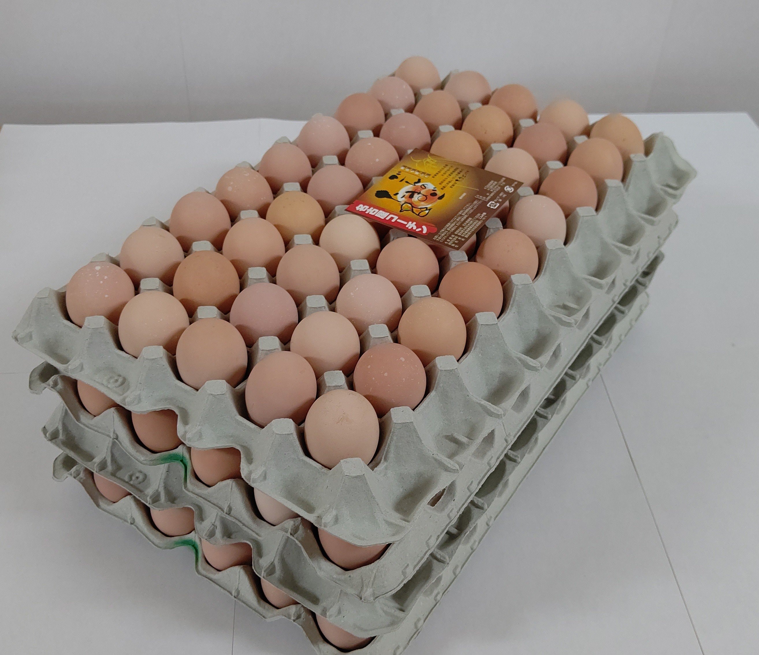 野菜たまご コーチン180個入り 送料無料 お買い得！！ 【180個入り】純系 名古屋コーチン卵
