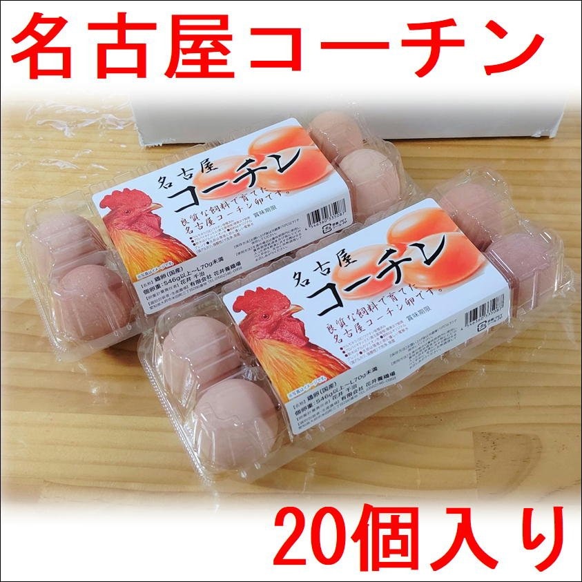 お試し価格】純系 名古屋コーチン卵 20個入り