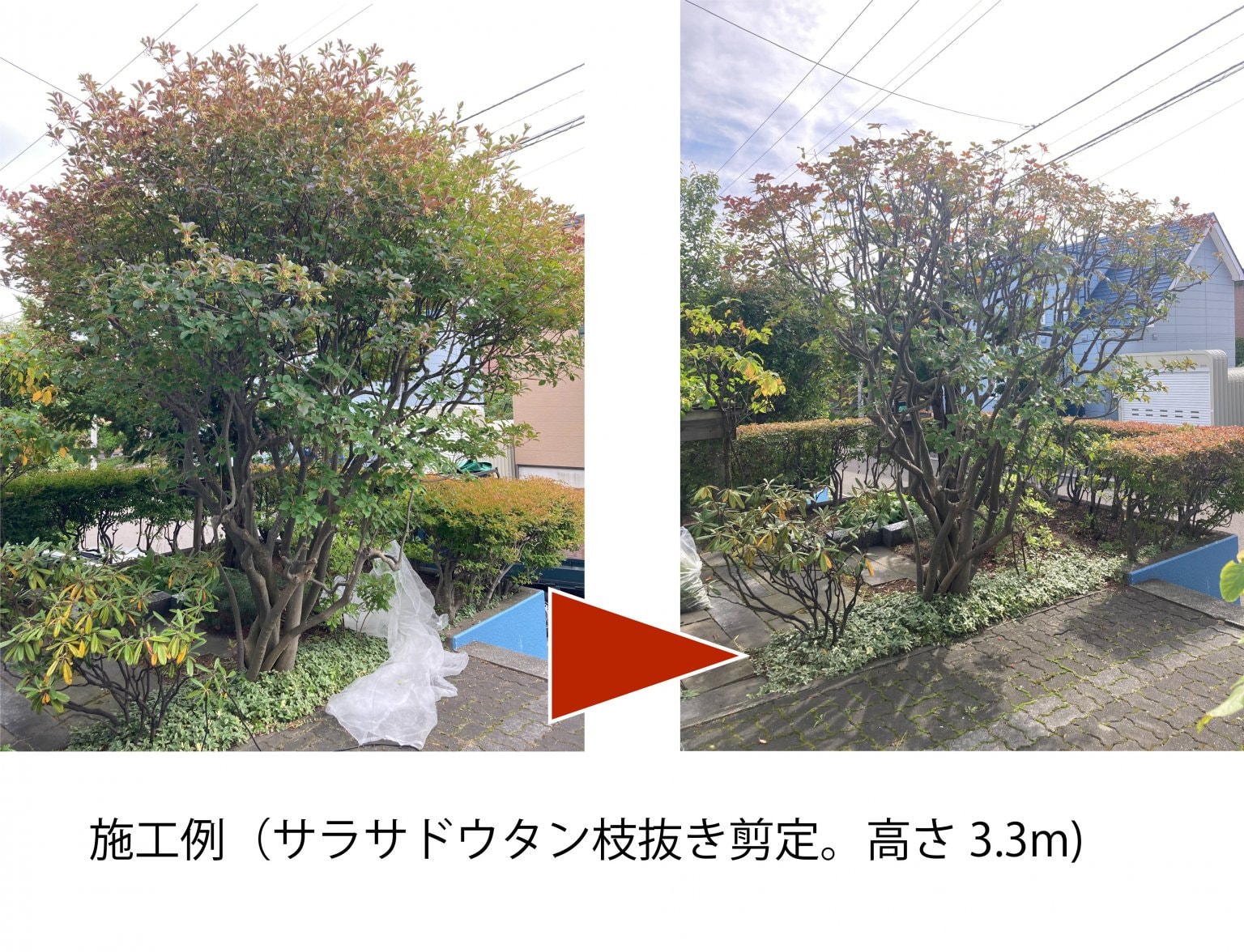 剪定チケット¥1,000円分札幌近郊