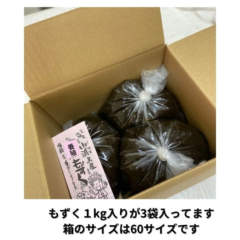 1kg入り×3袋】小浜島産養殖もずく(塩蔵）