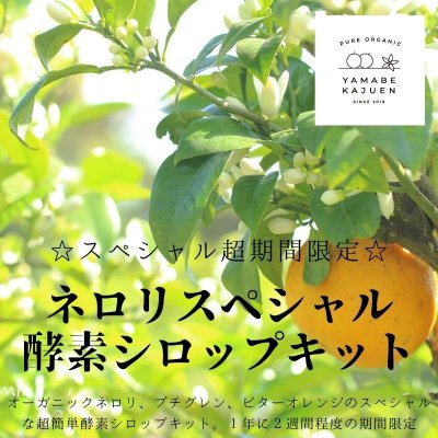 ネロリ酵素シロップキット[スペシャルブレンド,ビターオレンジ花&枝葉&果実,オリジナルレシピ付き,酵素ジュース]