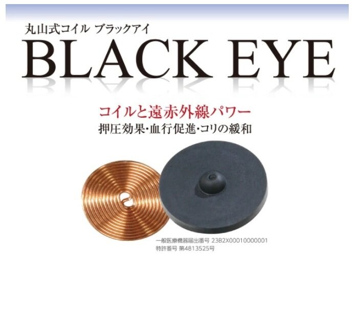 電磁波対策 ブラックアイ50個入り