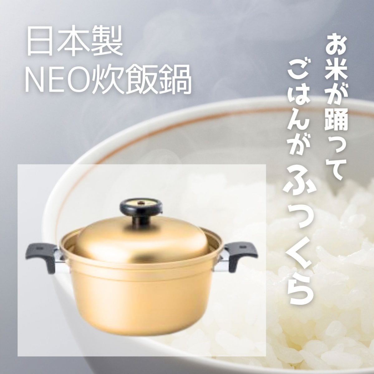 NEO炊飯鍋【日本製】無水調理鍋／容量4.9リットル【なべ底から蒸気が吹き上がる。鋳物のお鍋で炊くご飯。】