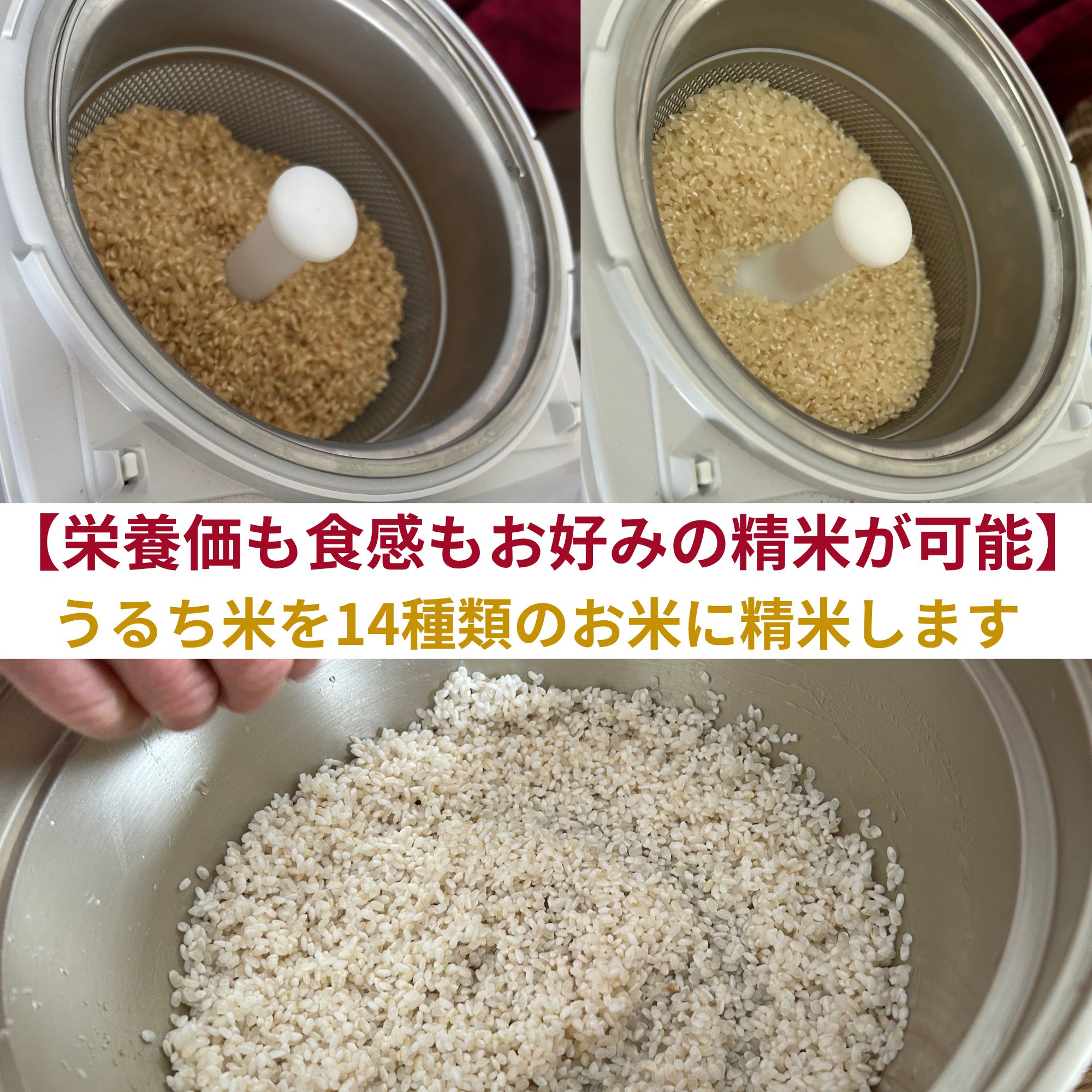 ラスト2台のみ！新米を更に美味しく食べよう！！古米を再精米コースで美味しく！米ぬか利用でさらに栄養丸ごといただきます✨