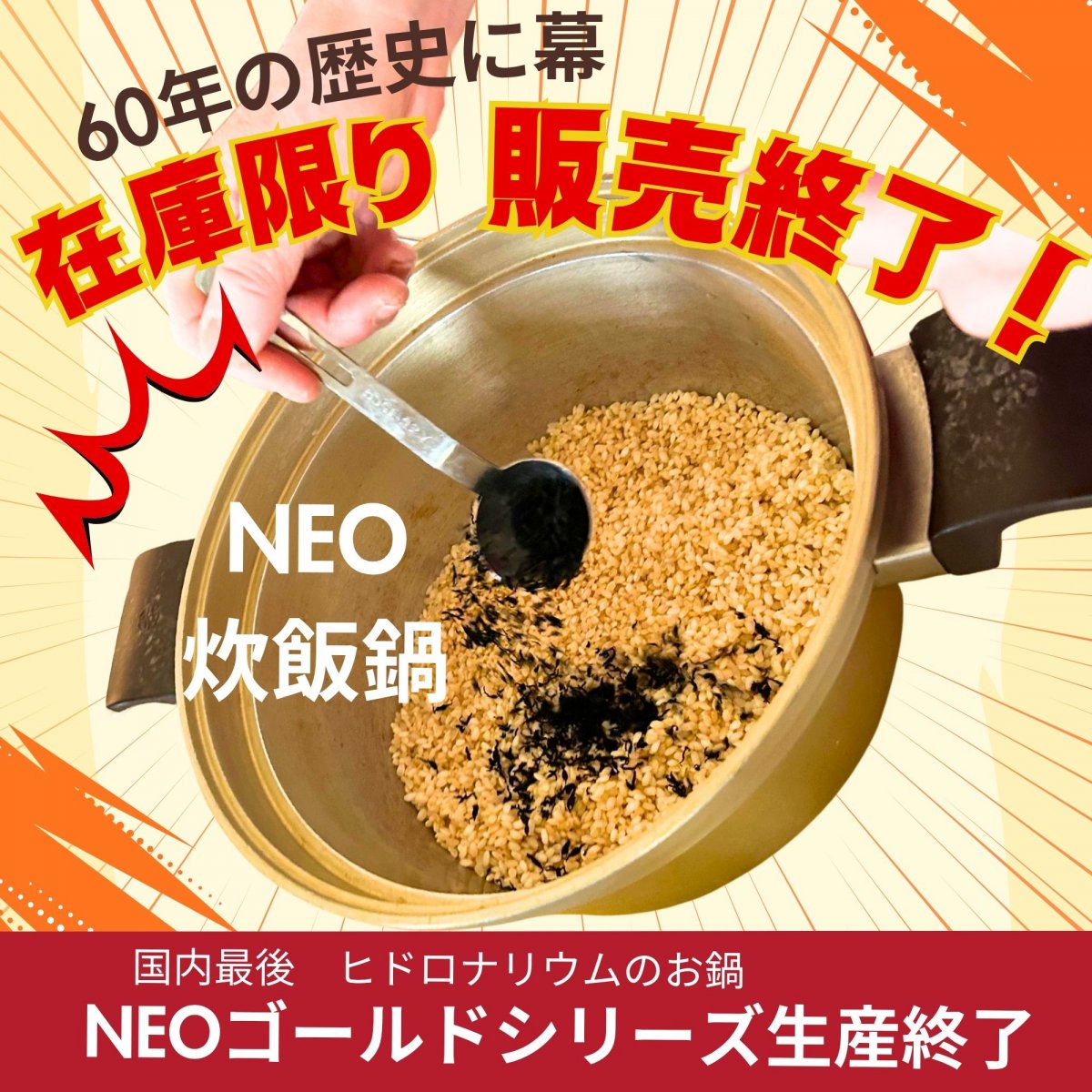 NEO炊飯鍋【日本製】無水調理鍋／容量4.9リットル【なべ底から蒸気が吹き上がる。鋳物のお鍋で炊くご飯。】