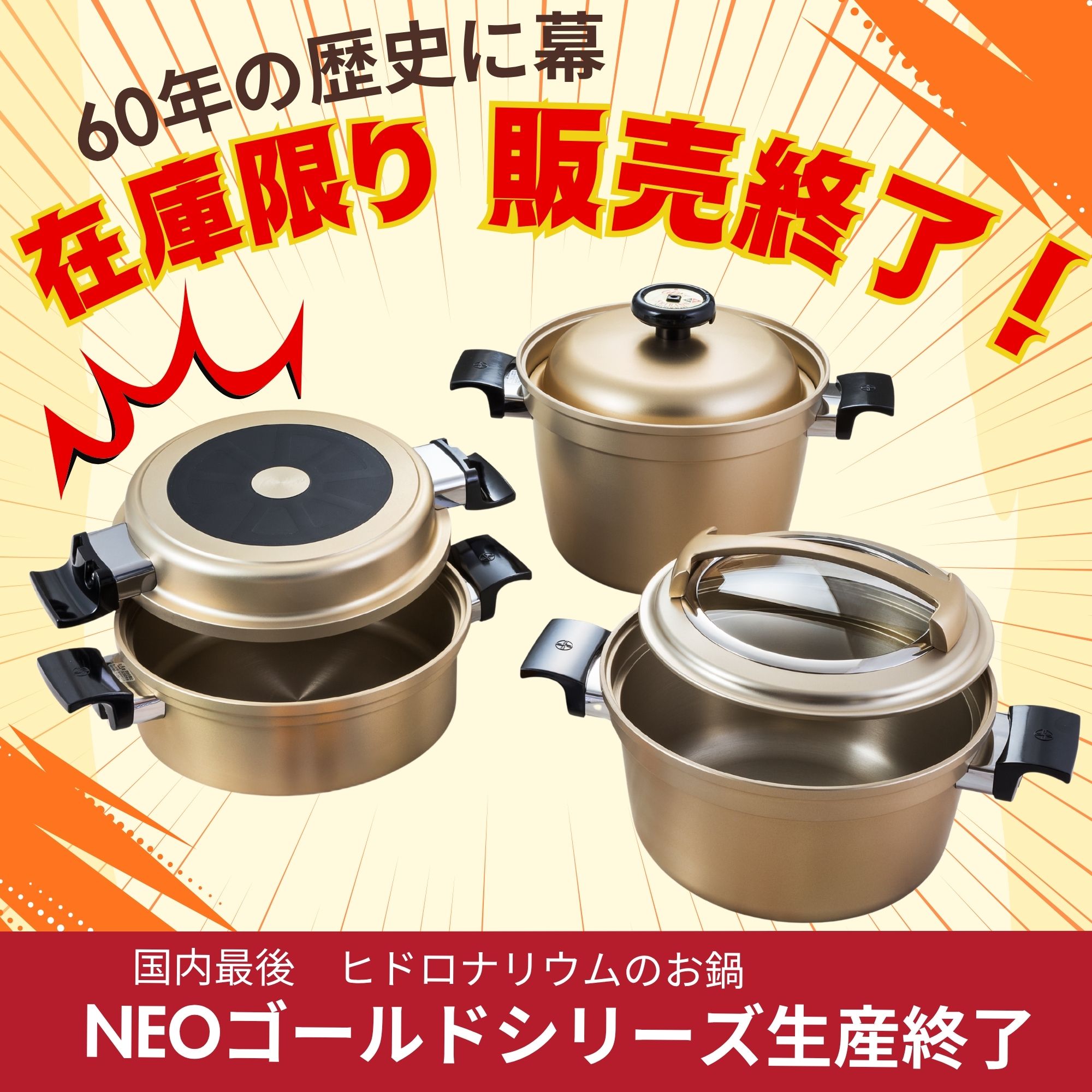 6点ゴールドNEO【煮る、炊く、蒸す 基本料理を簡単に。毎日使うもの