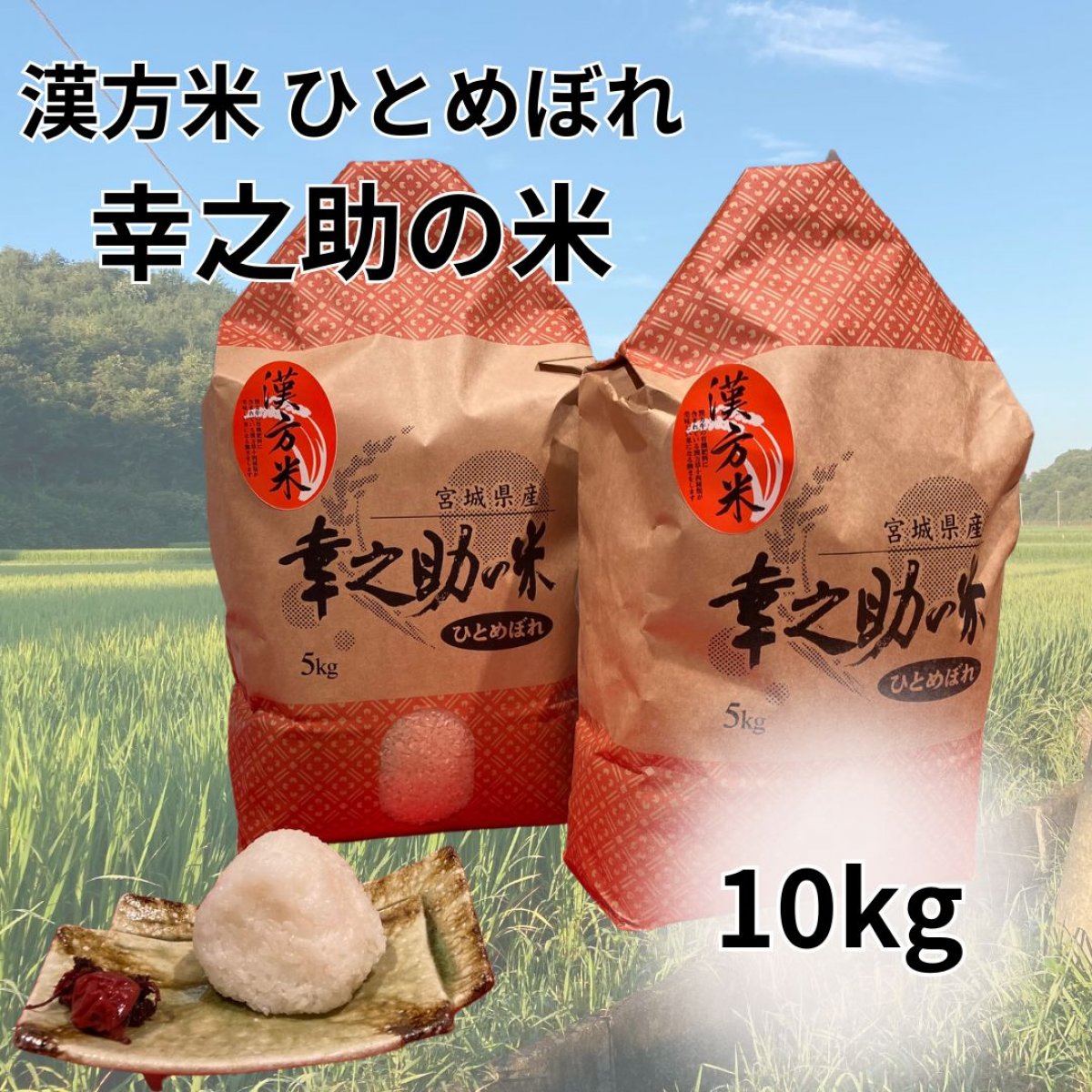 令和７年 漢方米 幸之助の米　ひとめぼれ（白米or玄米）10kg
