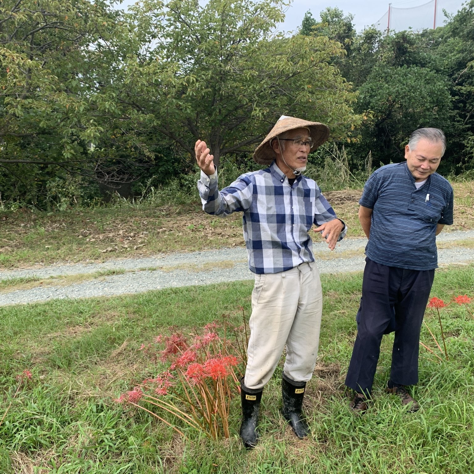 令和7年度【苗株主大募集！】（特典付き苗株券一枚）自然栽培の稲作を支援する苗のオーナー「苗株主」を募集します。【百姓天下米プロジェクト〜百姓てんてこ舞いからの解放〜】