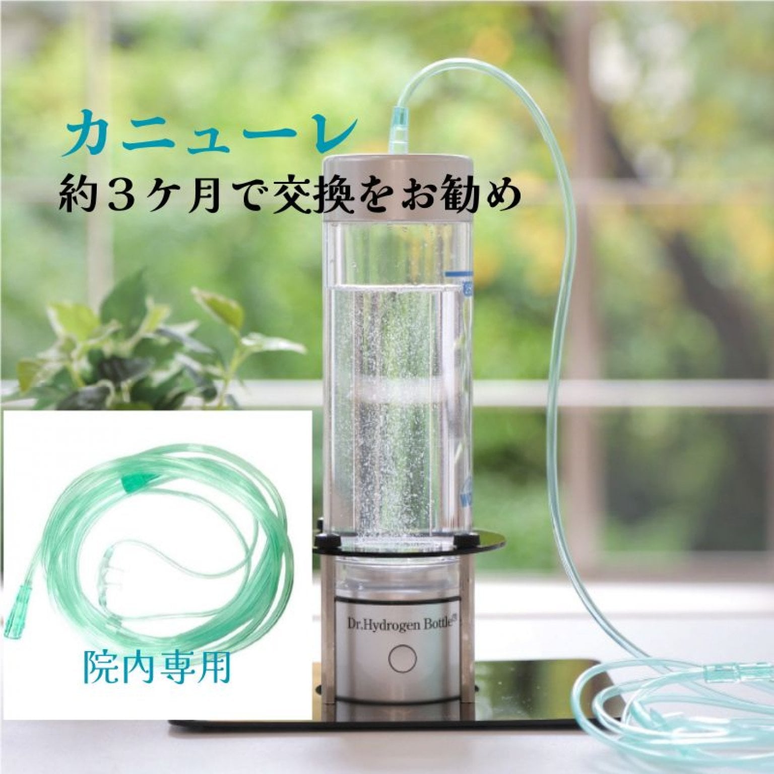 12月限定　【毛細血管】チェックとお試し水素ガス吸入30分付【ドクター水素ボトルプラス】