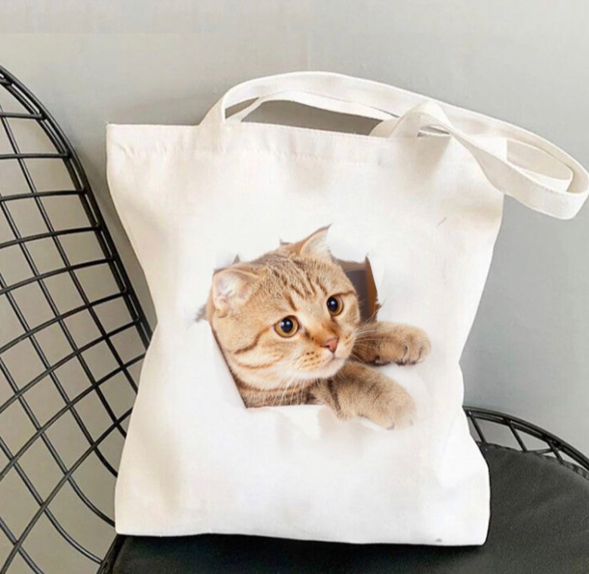 飛び出す猫のトートバッグ スコちゃん①