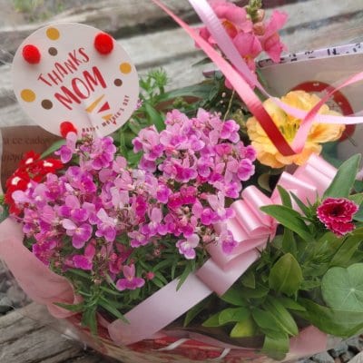 エディブルフラワーの通販ならフラワーンダフル千華園