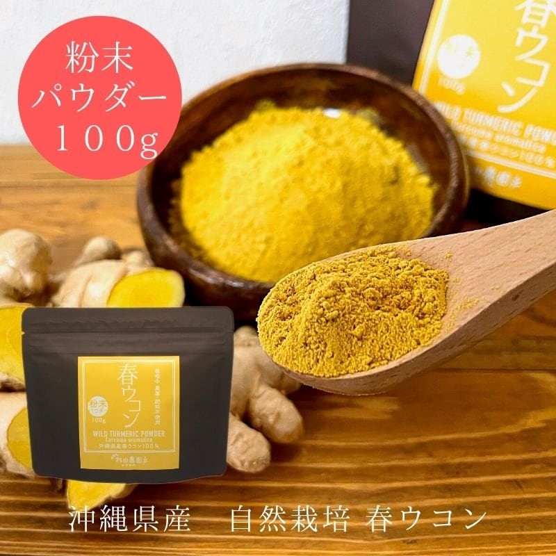 ※専用です。【無農薬　春ウコン　15キロ　　自然栽培】 春ウコン粉末 パウダー100g 》希少な自然栽培・沖縄県産／農薬不
