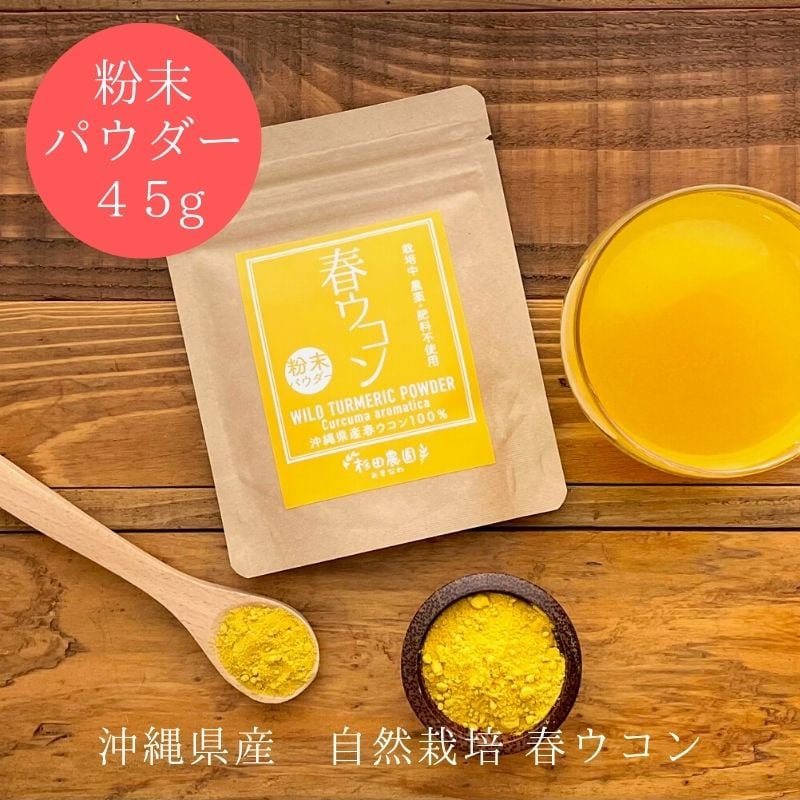 45g春ウコン粉末 パウダー》希少な自然栽培・沖縄県産／農薬不使用