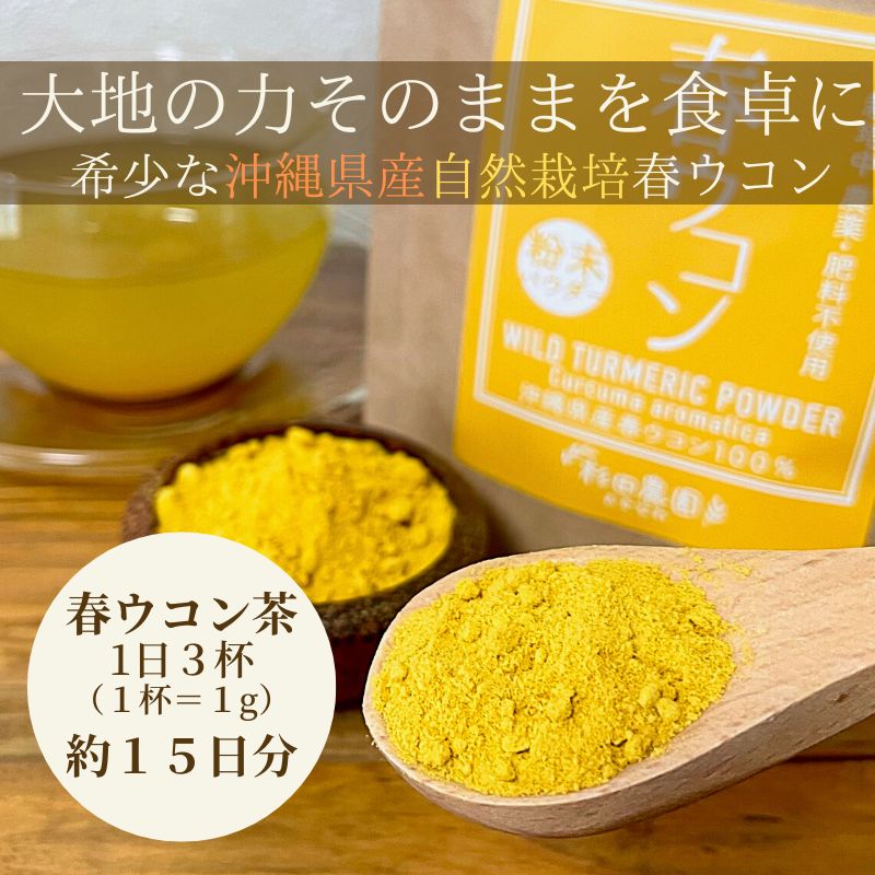 春ウコン(生)nana様専用分 9kg ① 【公式通販】