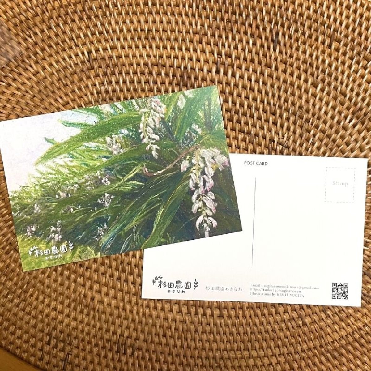 画像