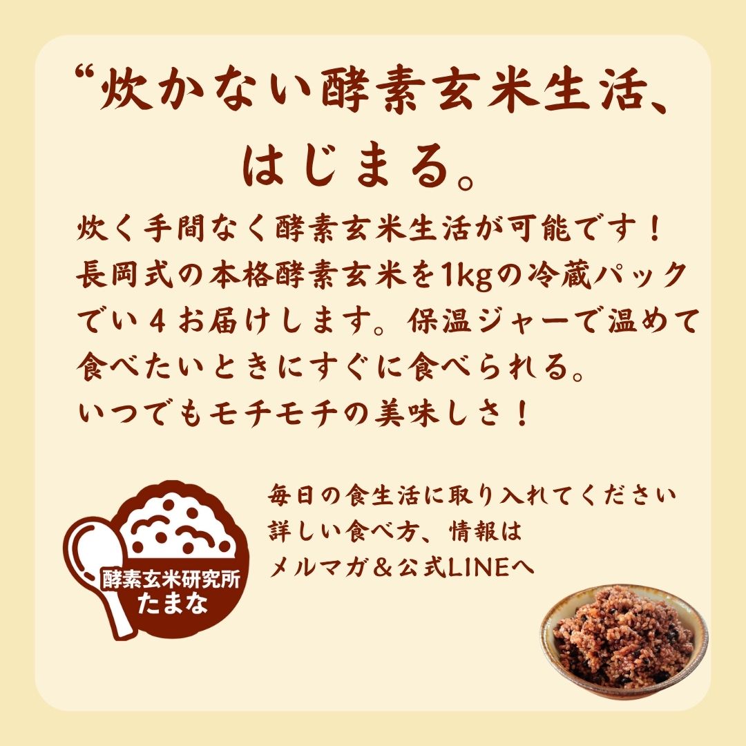 長岡式酵素玄米1kgパック 酵素玄米生活応援パック 10個セット