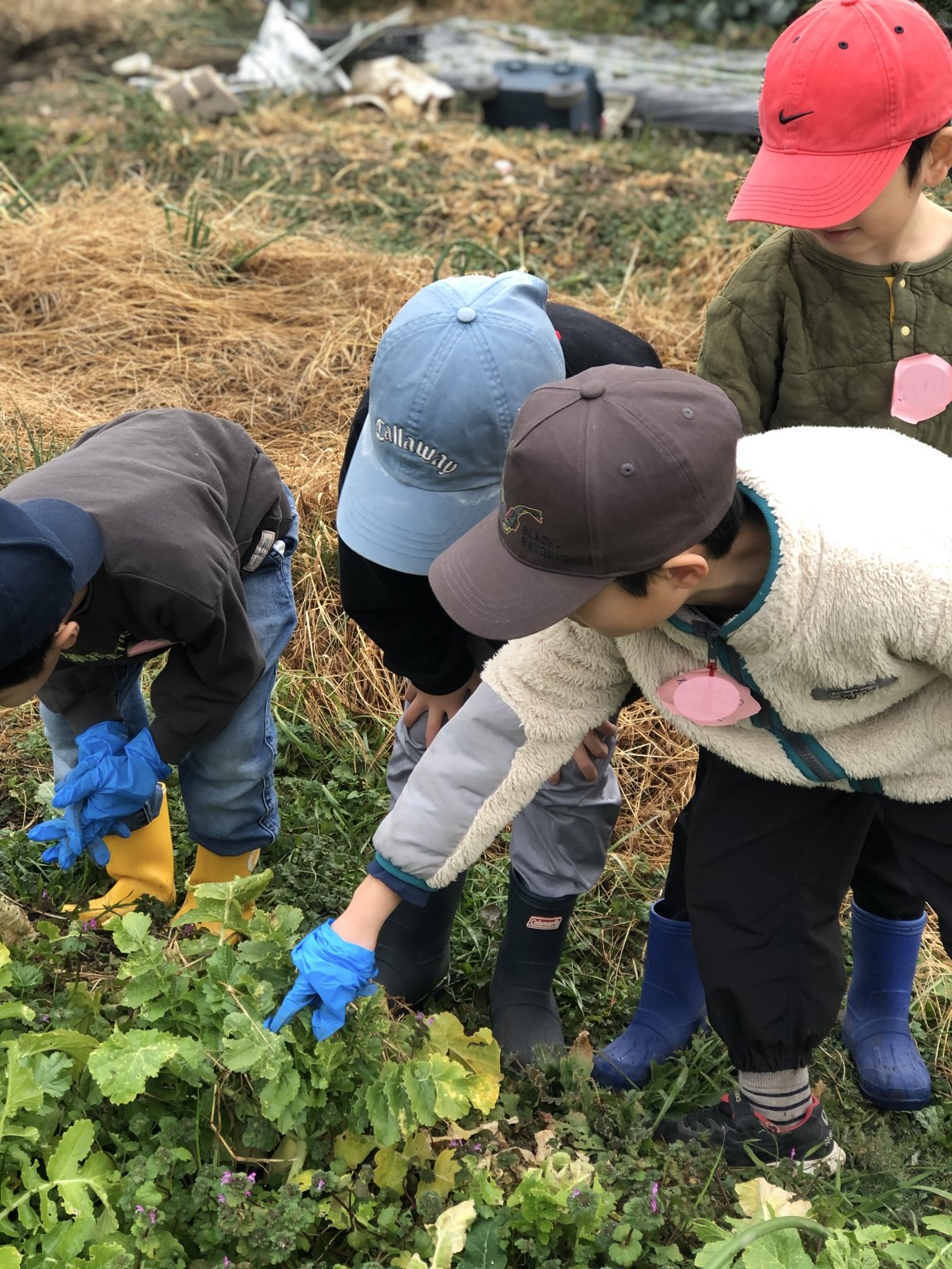 【自生塾】 kid's CAMP 参加チケット　★定員8名★