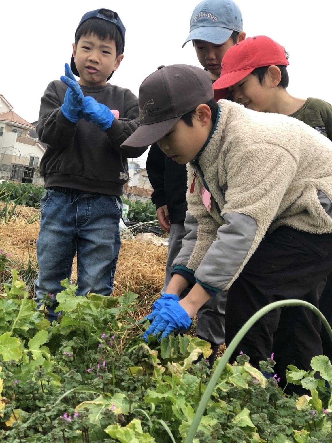 【自生塾】 kid's CAMP 参加チケット　★定員8名★