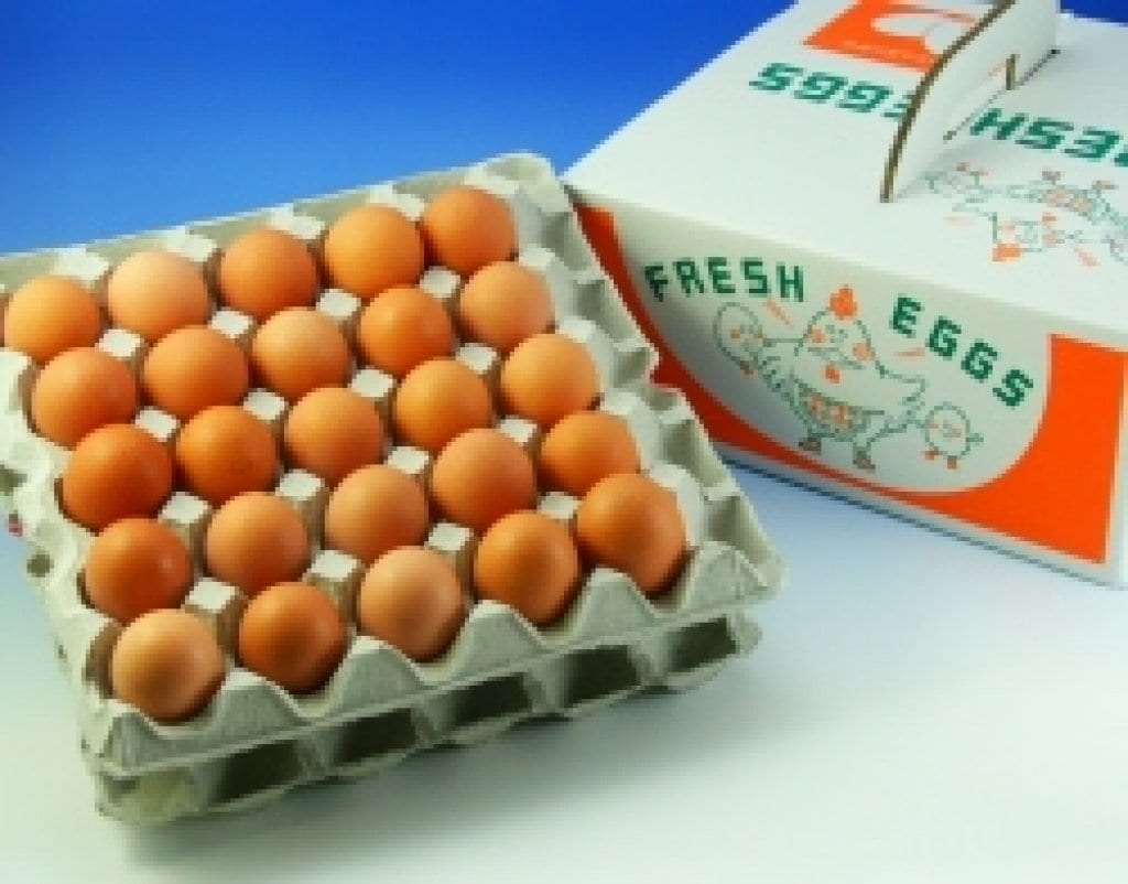 野村ファームの平飼い卵６個パック　【店頭販売】