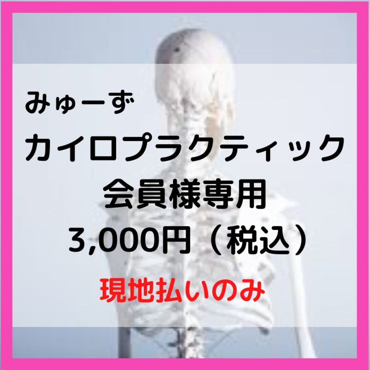 カイロプラクティックつくば 女性専門整体出張 みゅーずカイロ