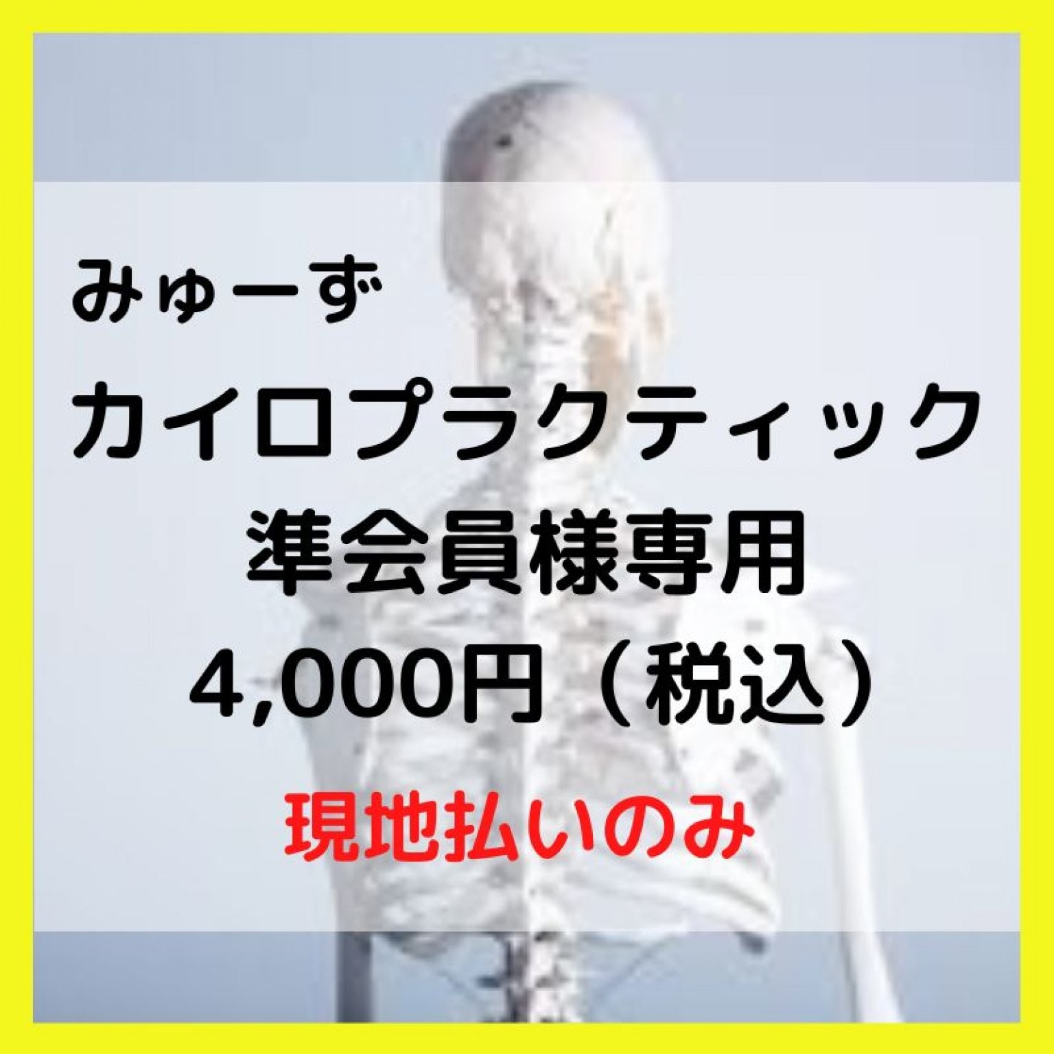 カイロプラクティックつくば 女性専門整体出張 みゅーずカイロ