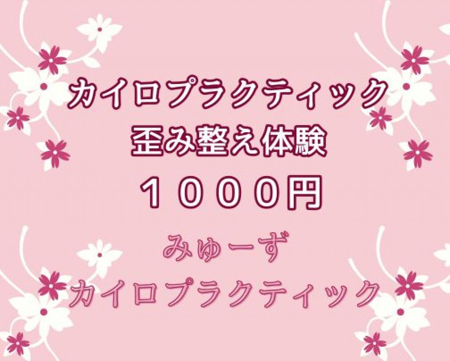 カイロプラクティックつくば 女性専門整体出張 みゅーずカイロ