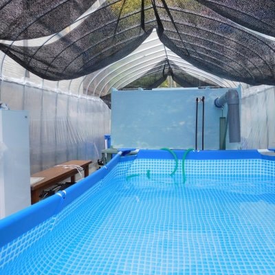 初めてのご相談者向け　online 2時間　陸上養殖コンサルティング　日本語／英語　online 2hour consulting about regarding land-based aquaculture  Japanese and English