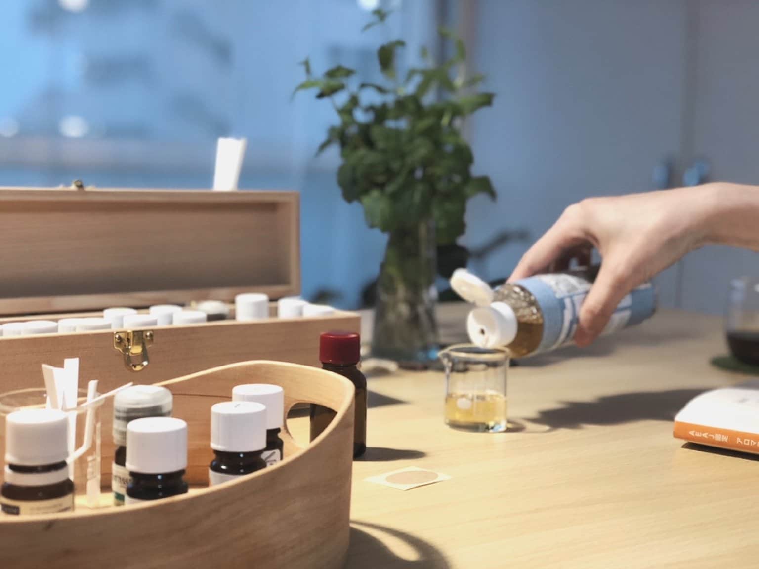 アロマテラピー基礎 （AEAJアロマテラピー検定1.2級対応）