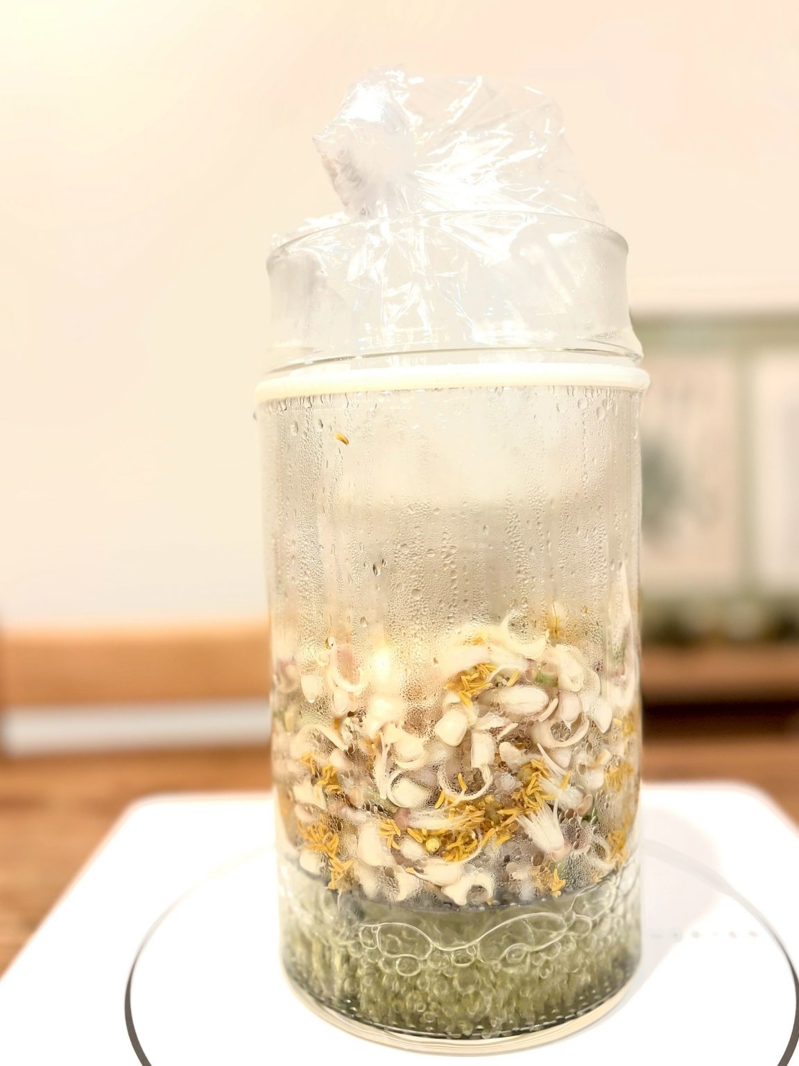 『ネロリ蒸留会』